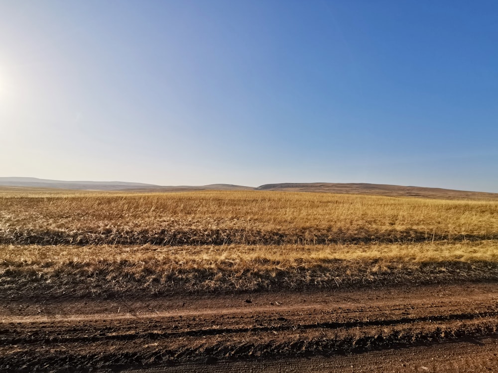 a dirt road in the middle of a field