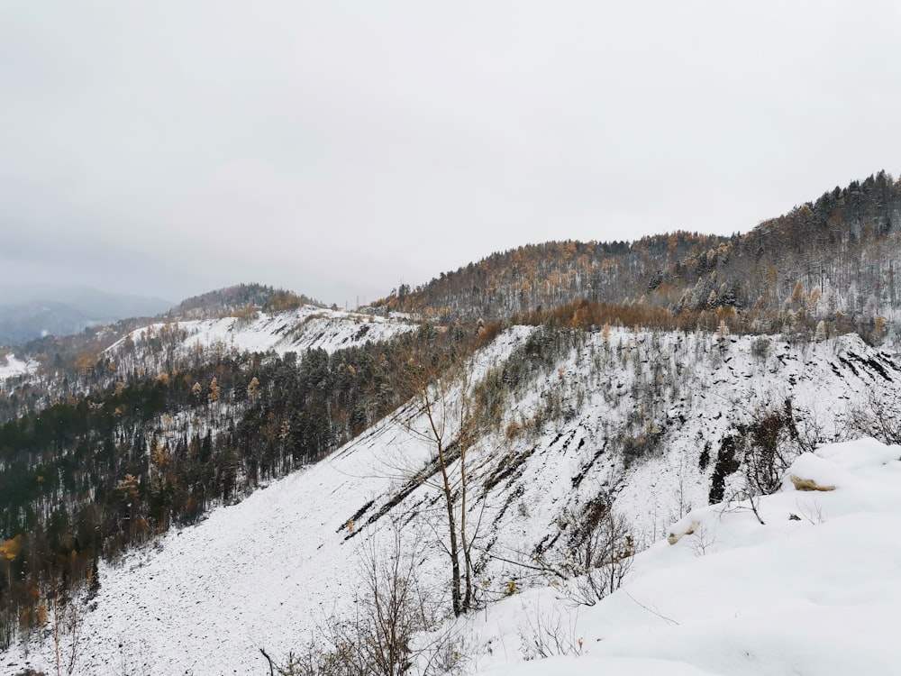 a mountain covered in snow with trees on top of it