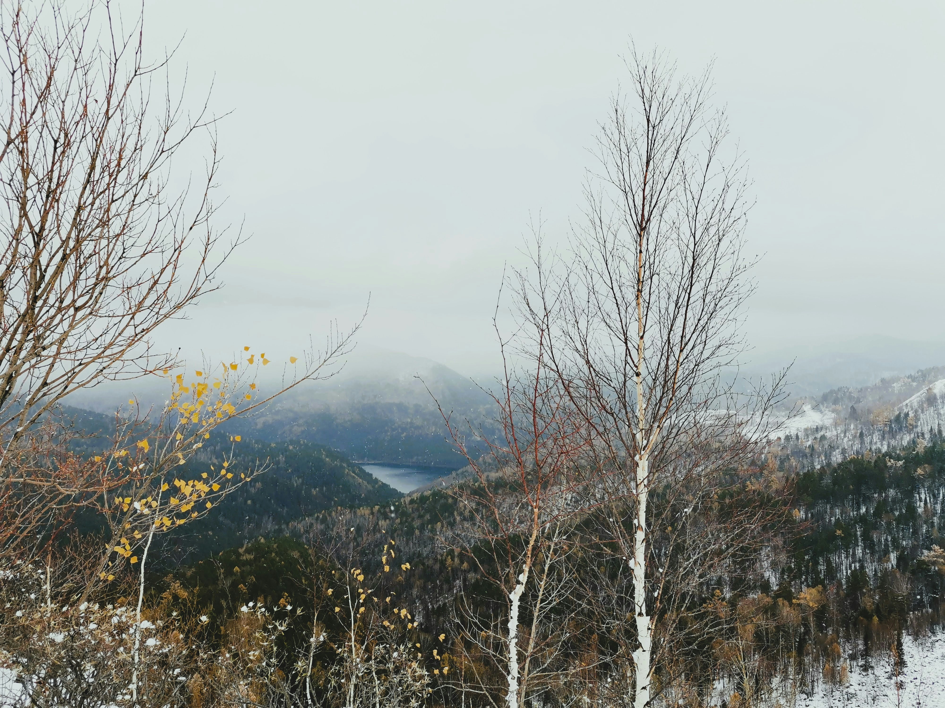 Photo by viktorozolin