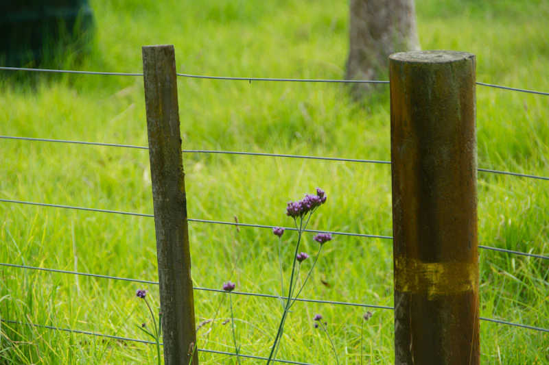 Solar-Powered Gate Motor