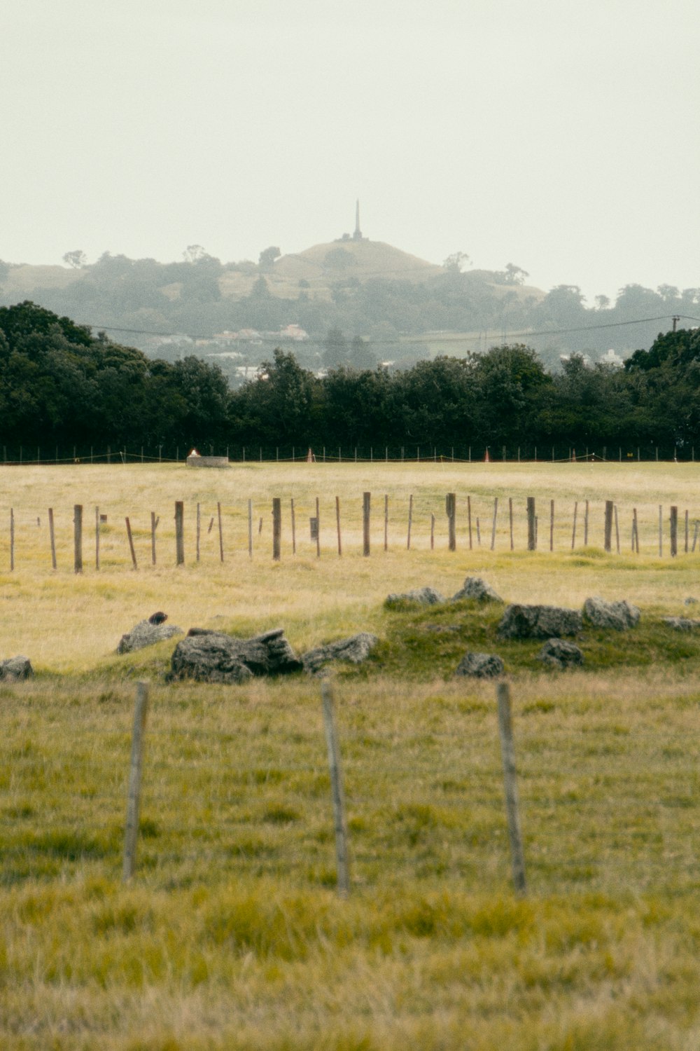 a field with a fence in the middle of it