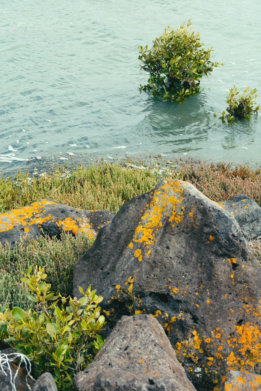 a couple of rocks sitting on top of a grass covered field