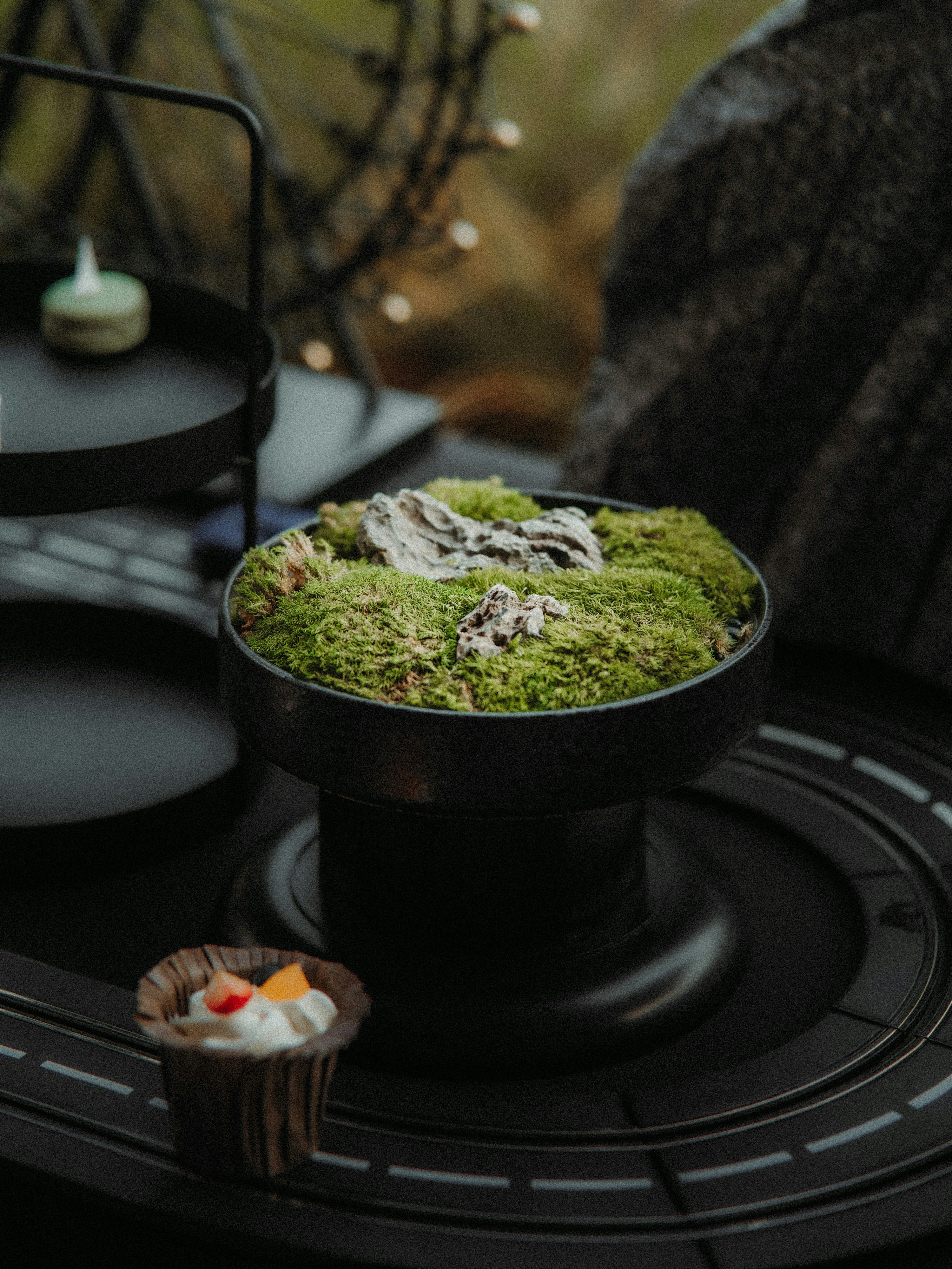 a moss covered cake sitting on top of a black plate