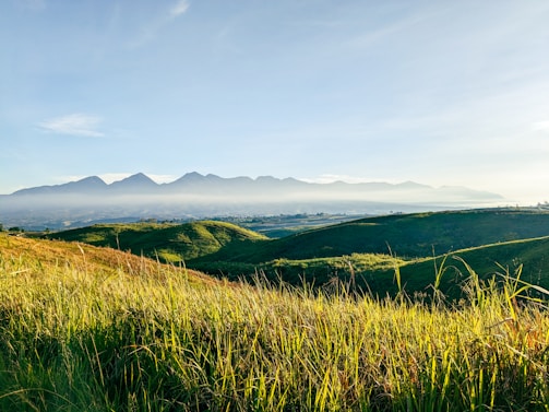 a grassy field with mountains in the background