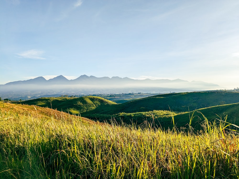 a grassy field with mountains in the background