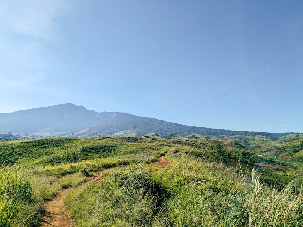 a dirt path in the middle of a lush green field