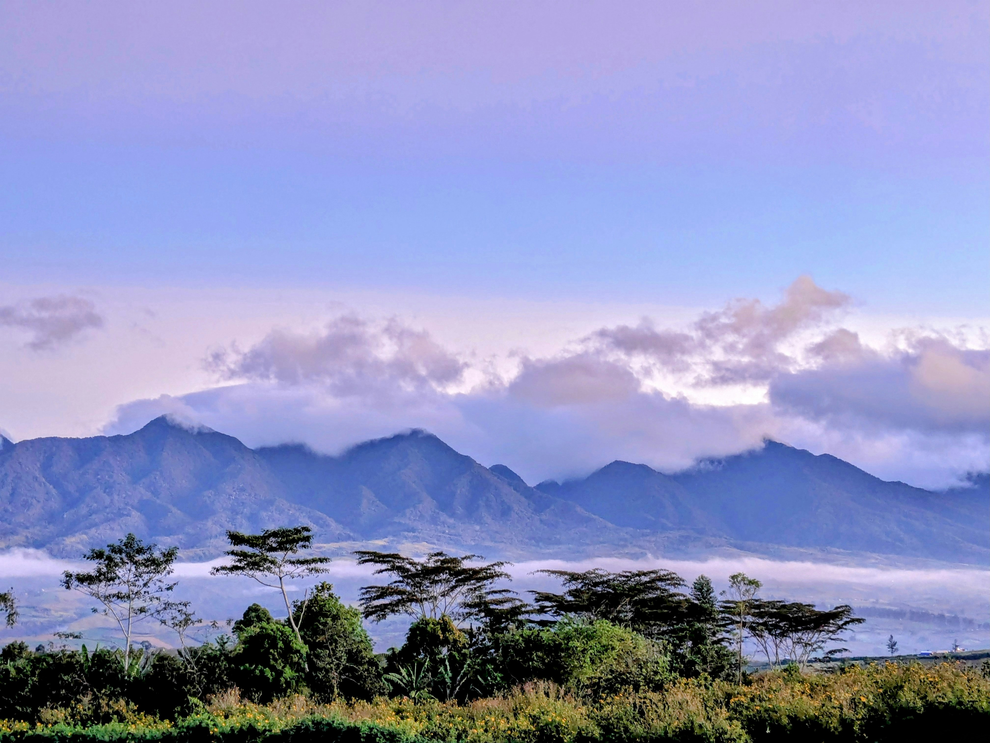 Photo by jeremeasunto