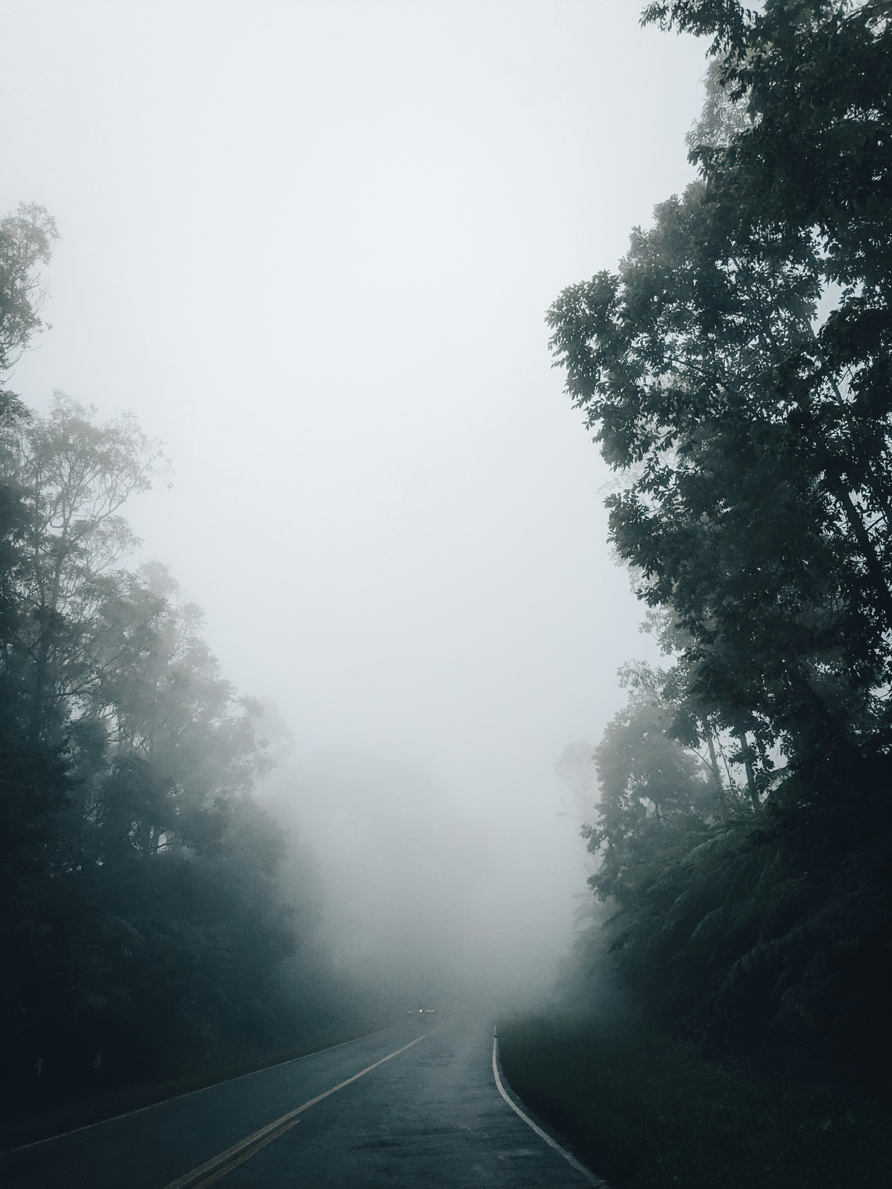 Photo by jeremeasunto