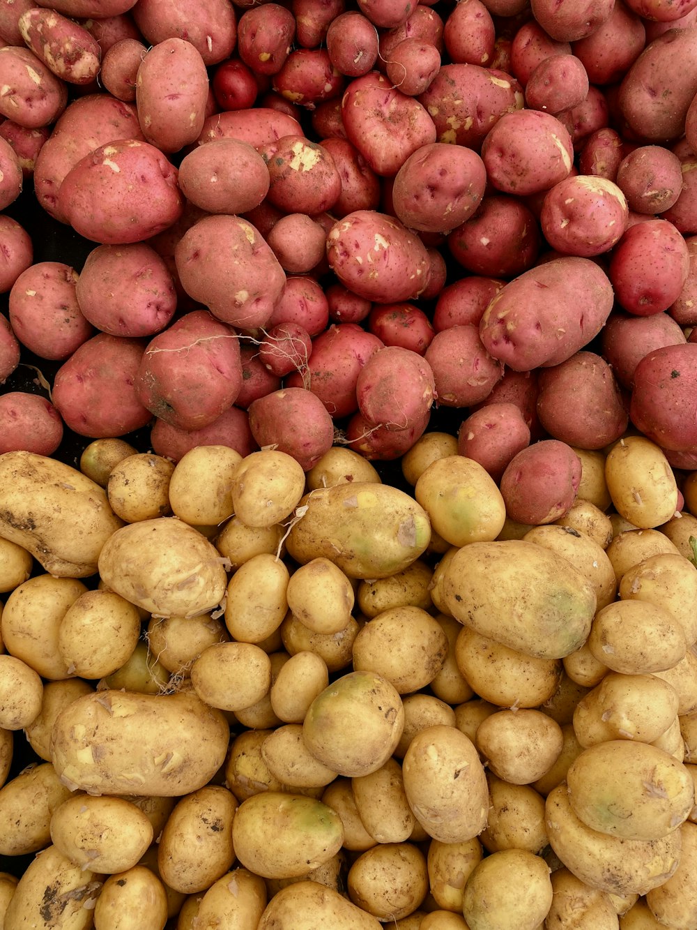 a pile of potatoes sitting next to each other