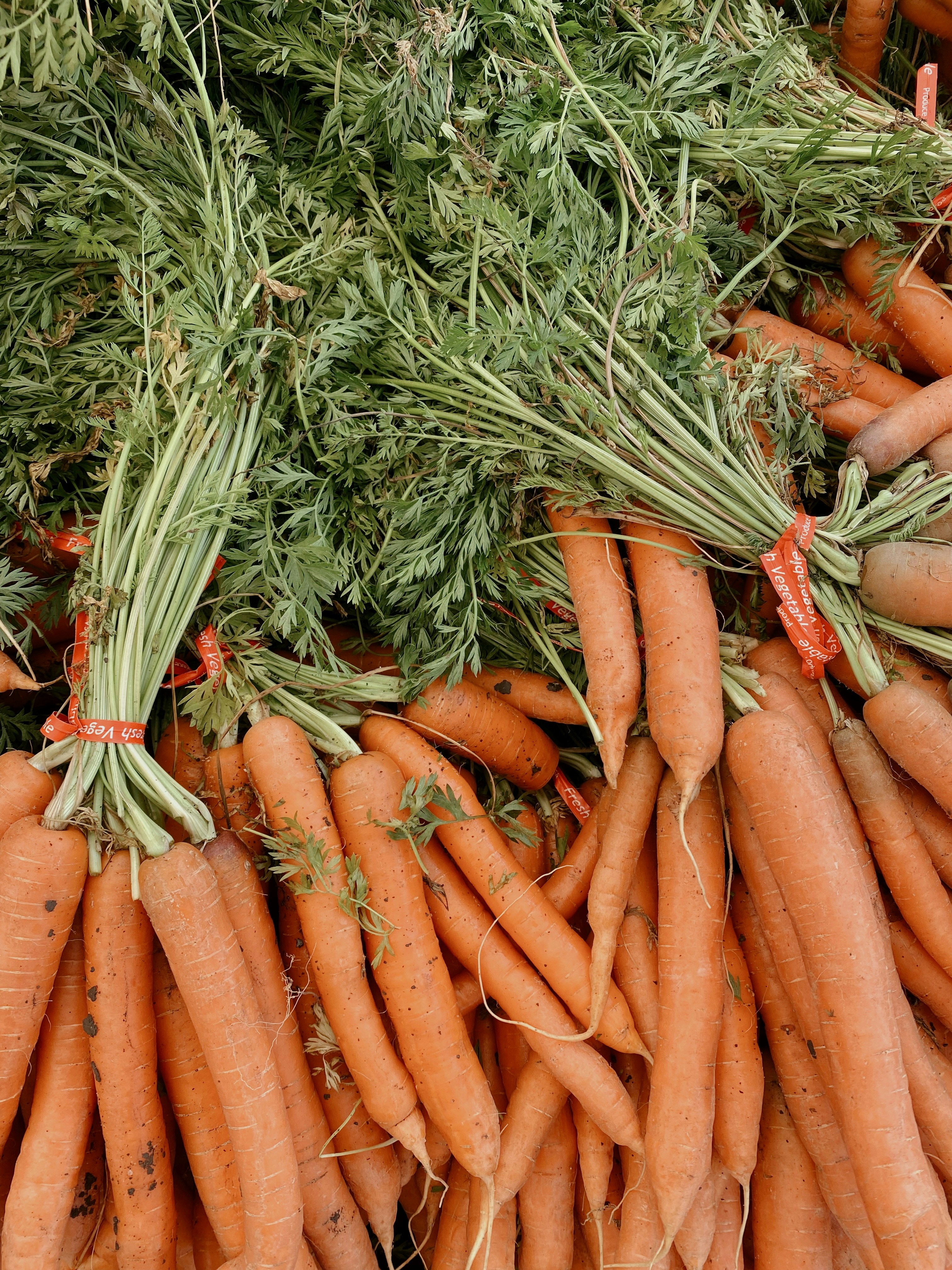 Photo by nicolasmtaylor