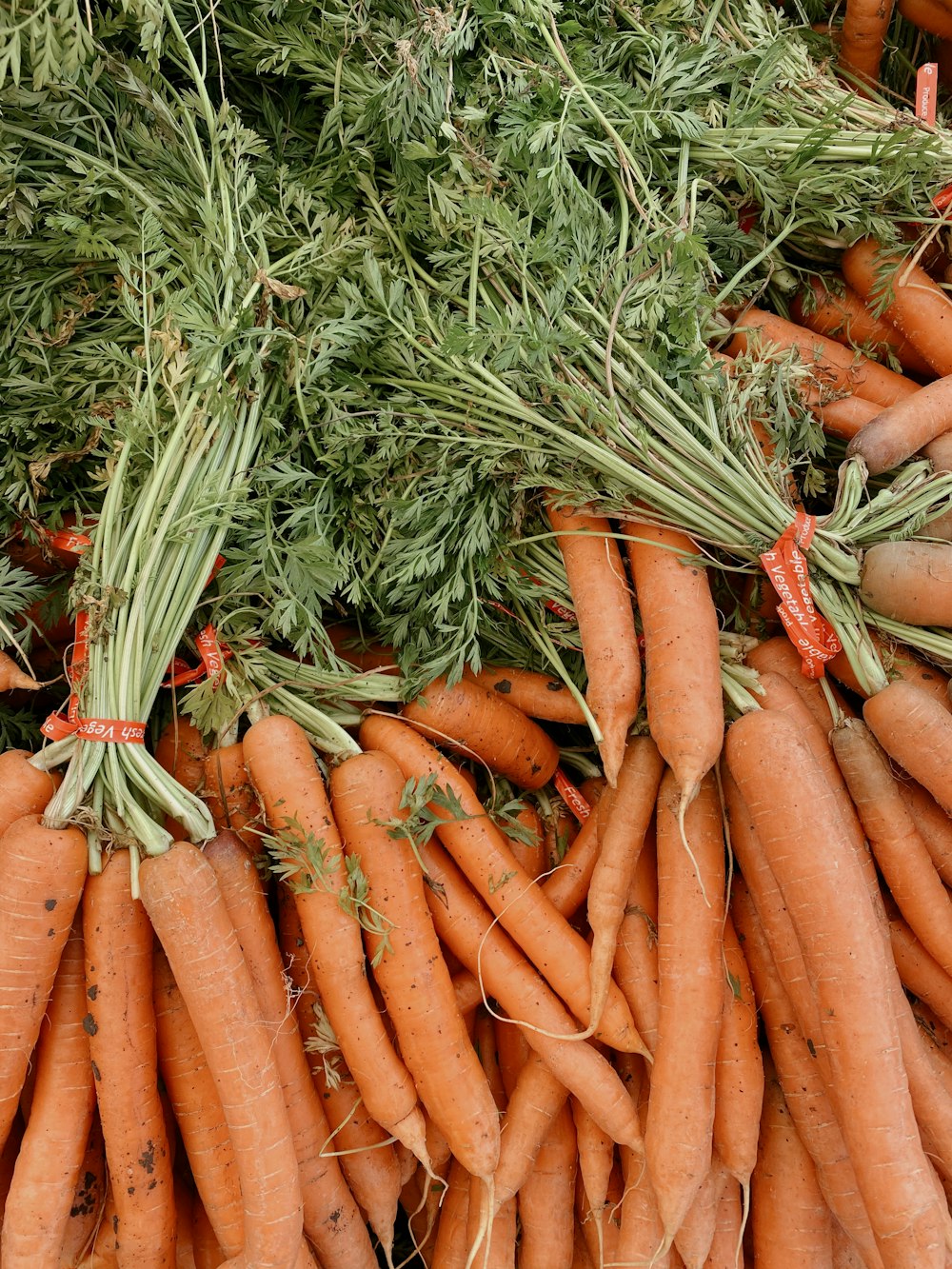 a pile of carrots sitting next to each other