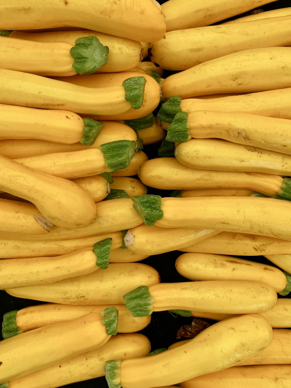 a pile of yellow squash with green leaves