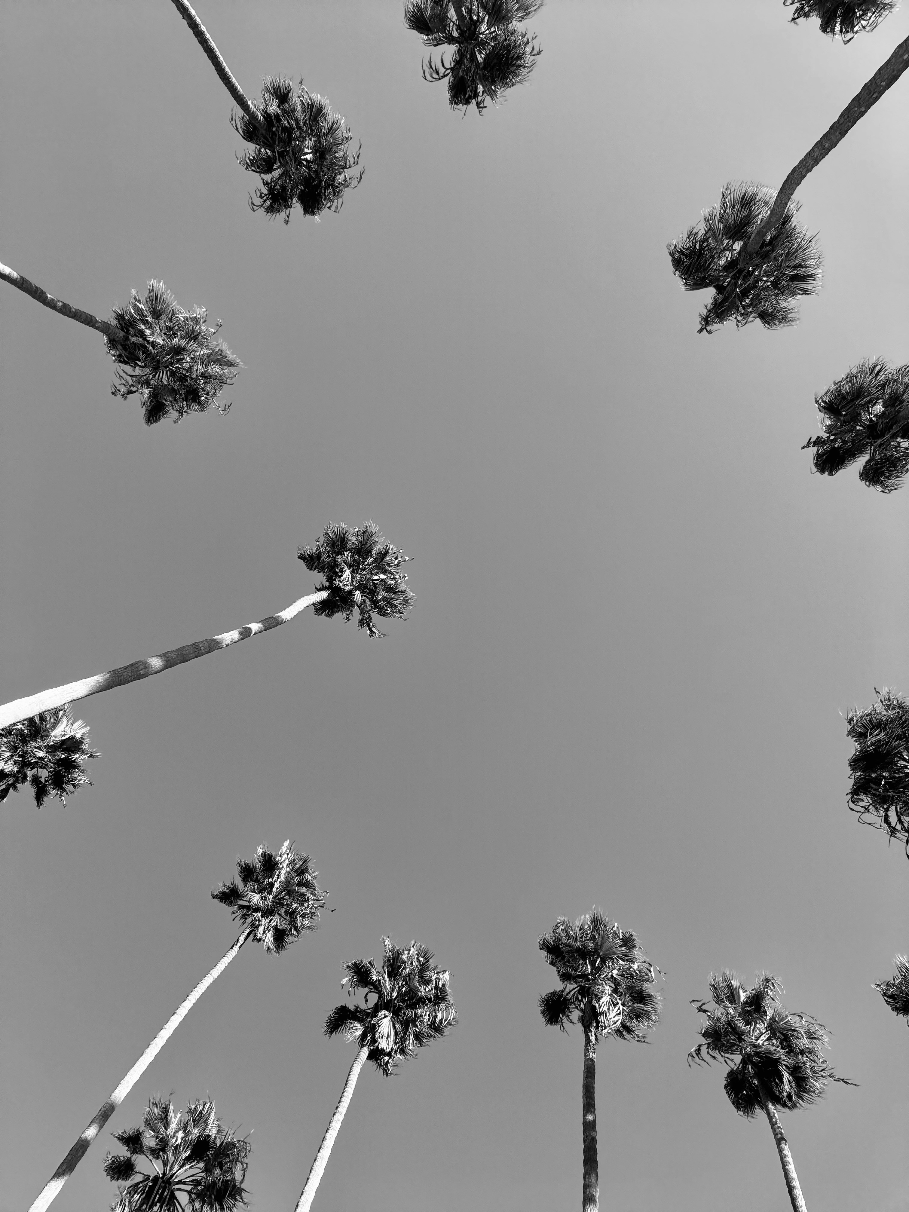 Photo by nicolasmtaylor