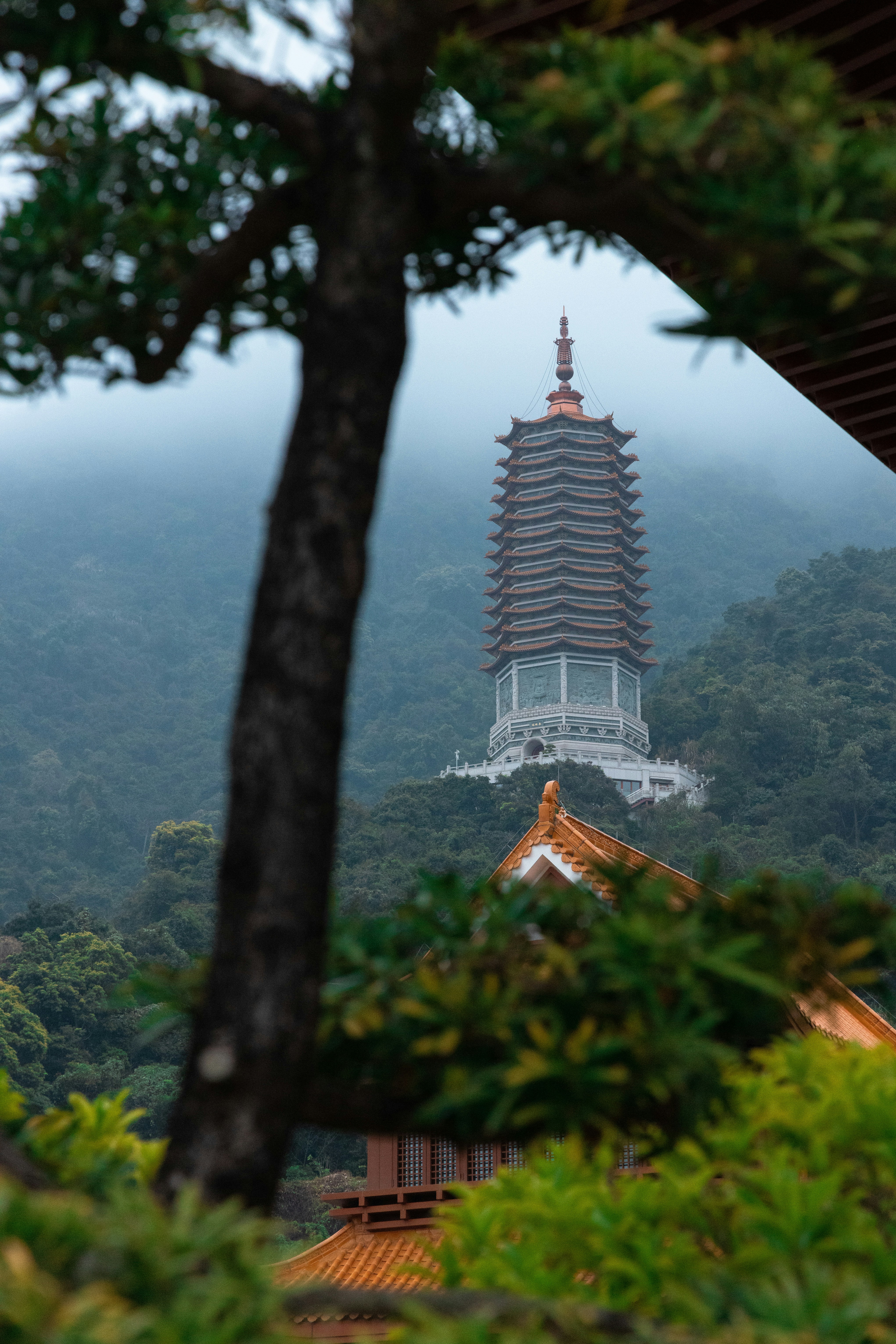 森林中的宝塔建筑