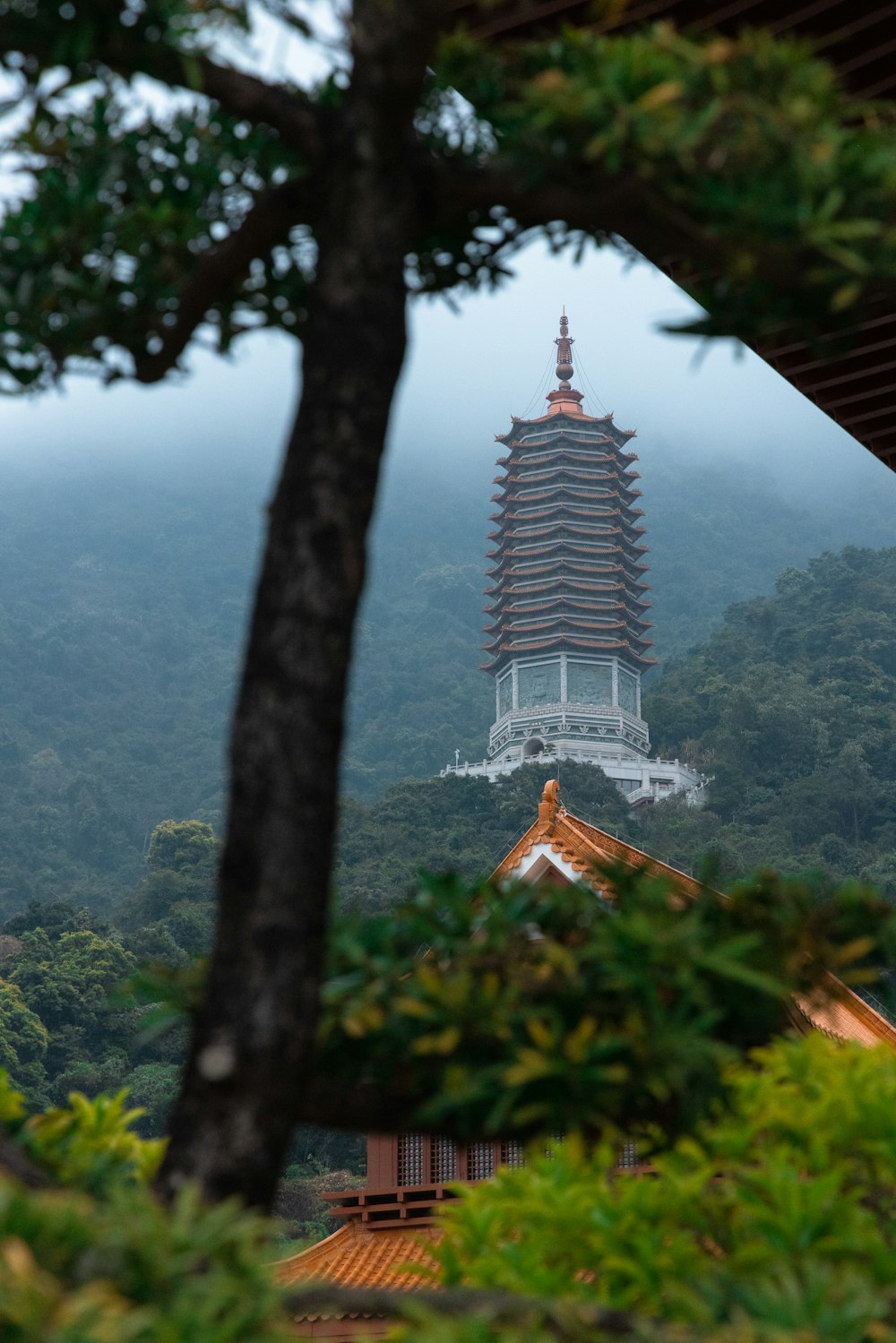 a view of a pagoda in the middle of a forest