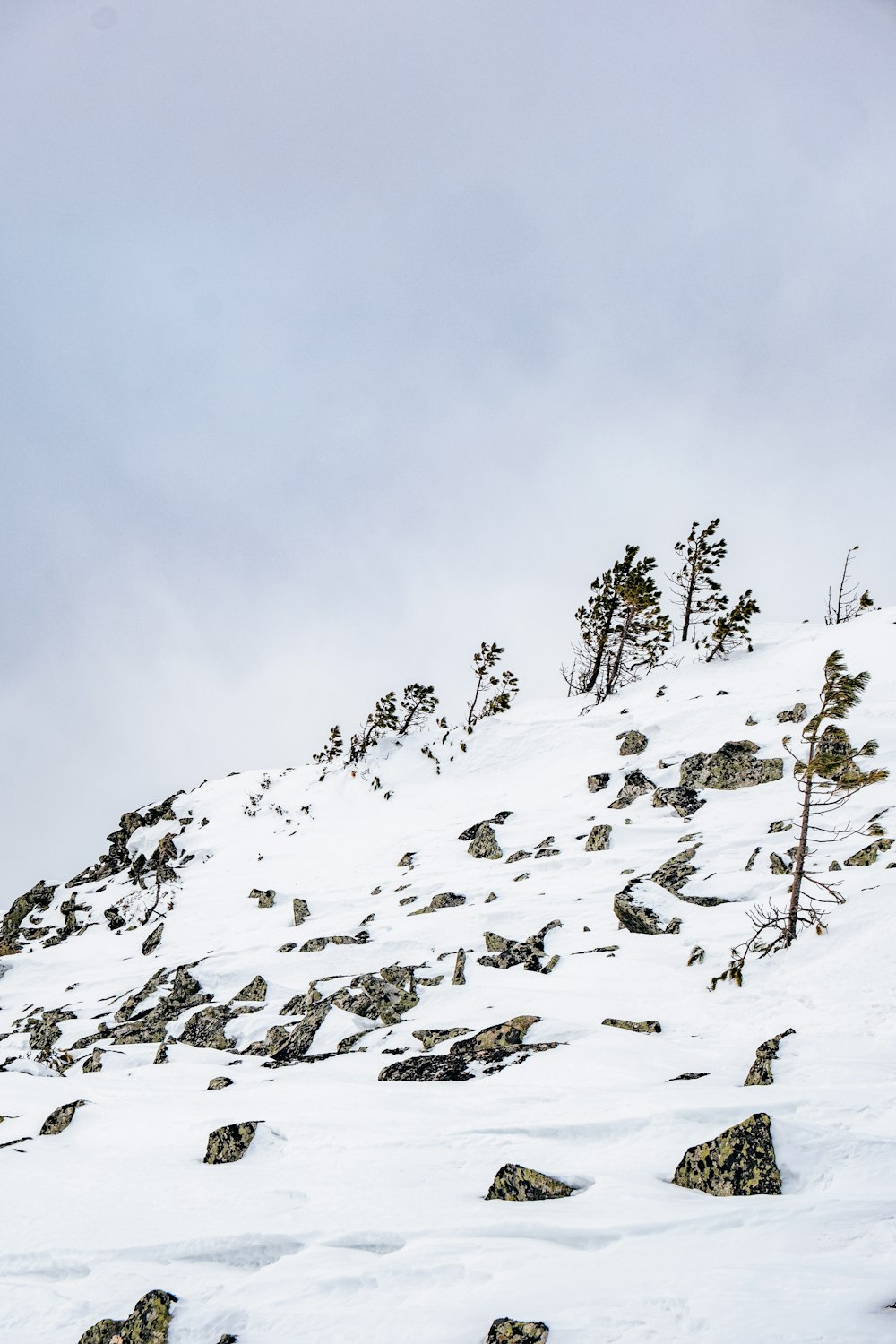 Un hombre montando esquís por una pendiente cubierta de nieve