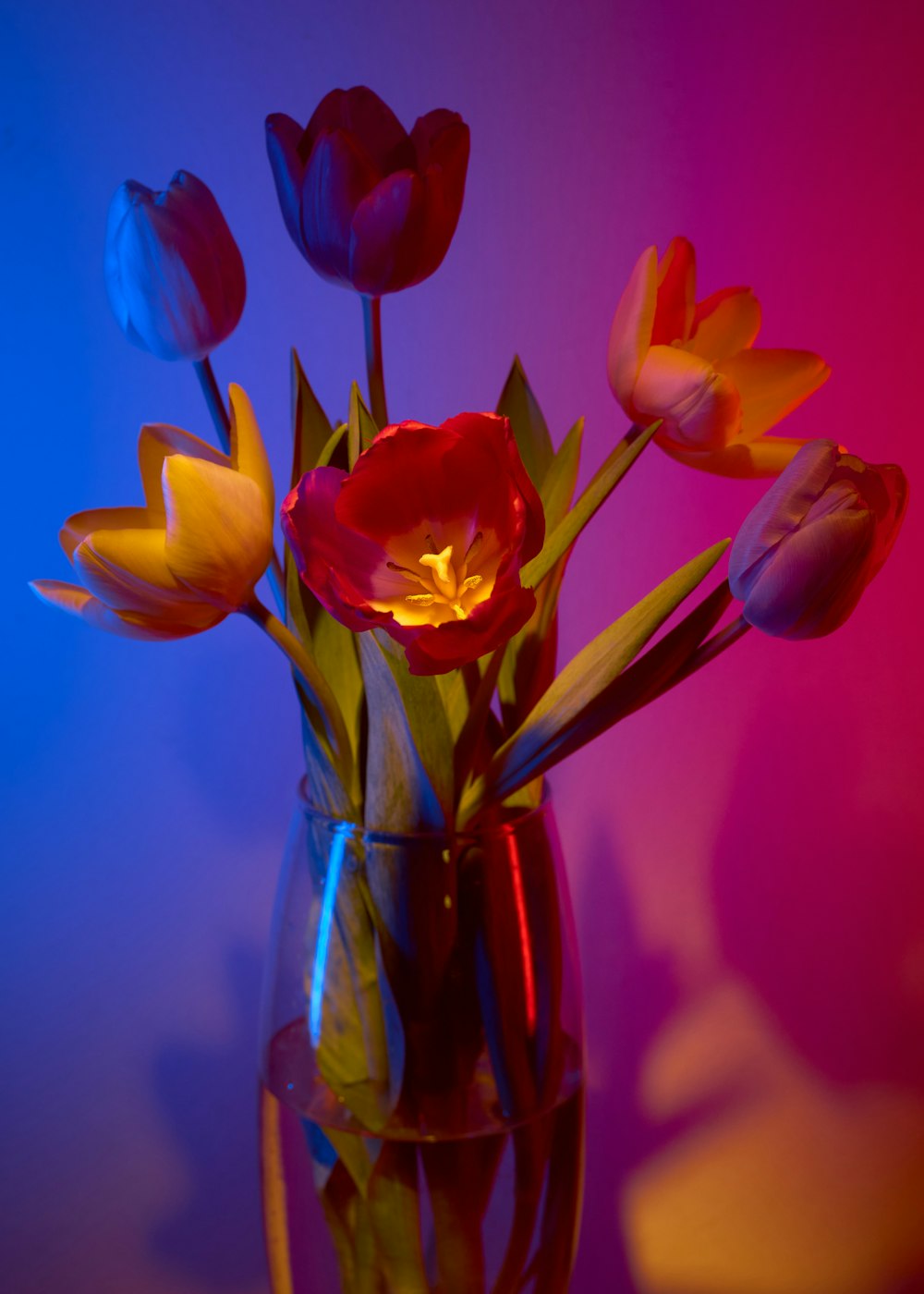 a vase filled with red and yellow tulips