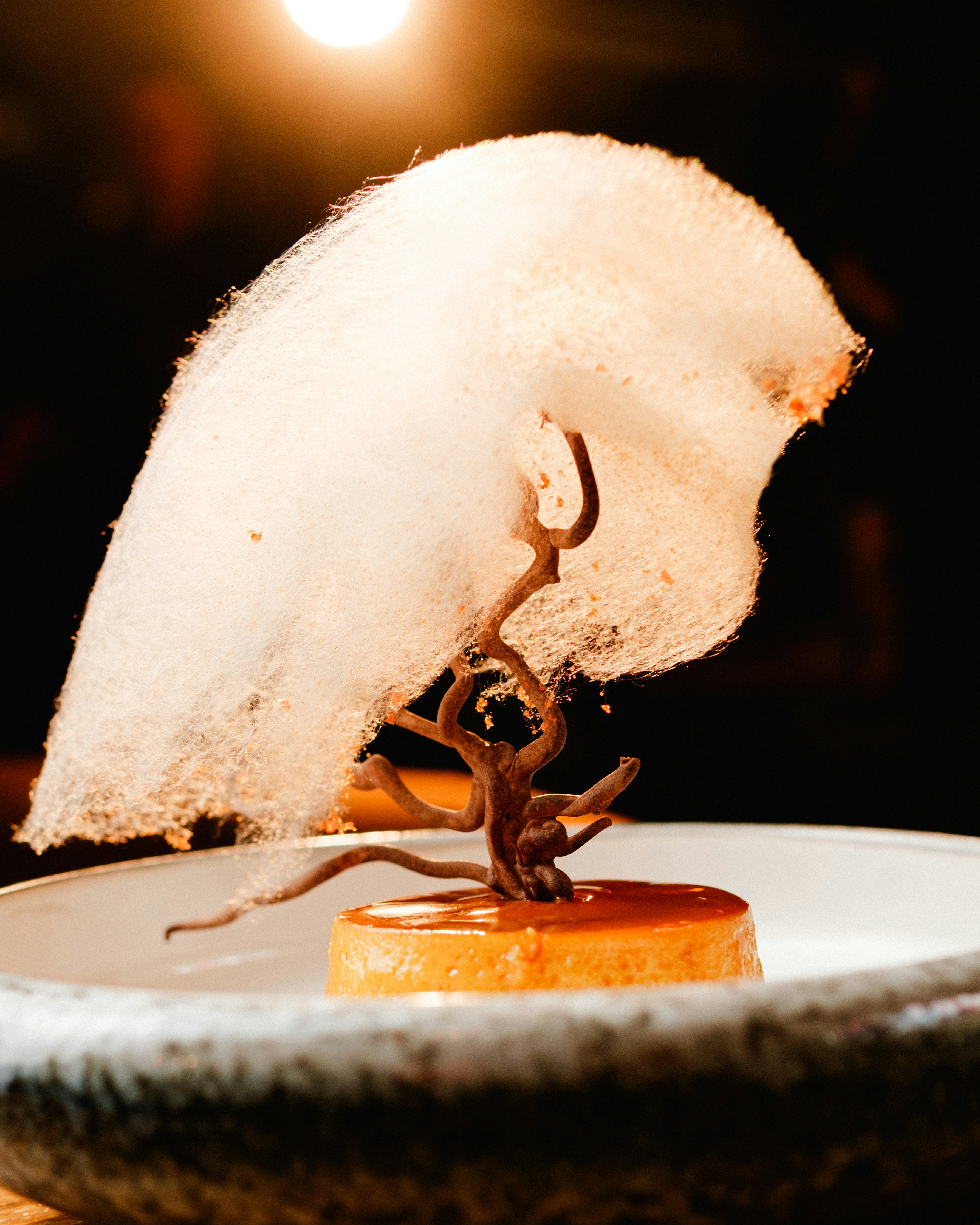 Photo by 17allansfilms