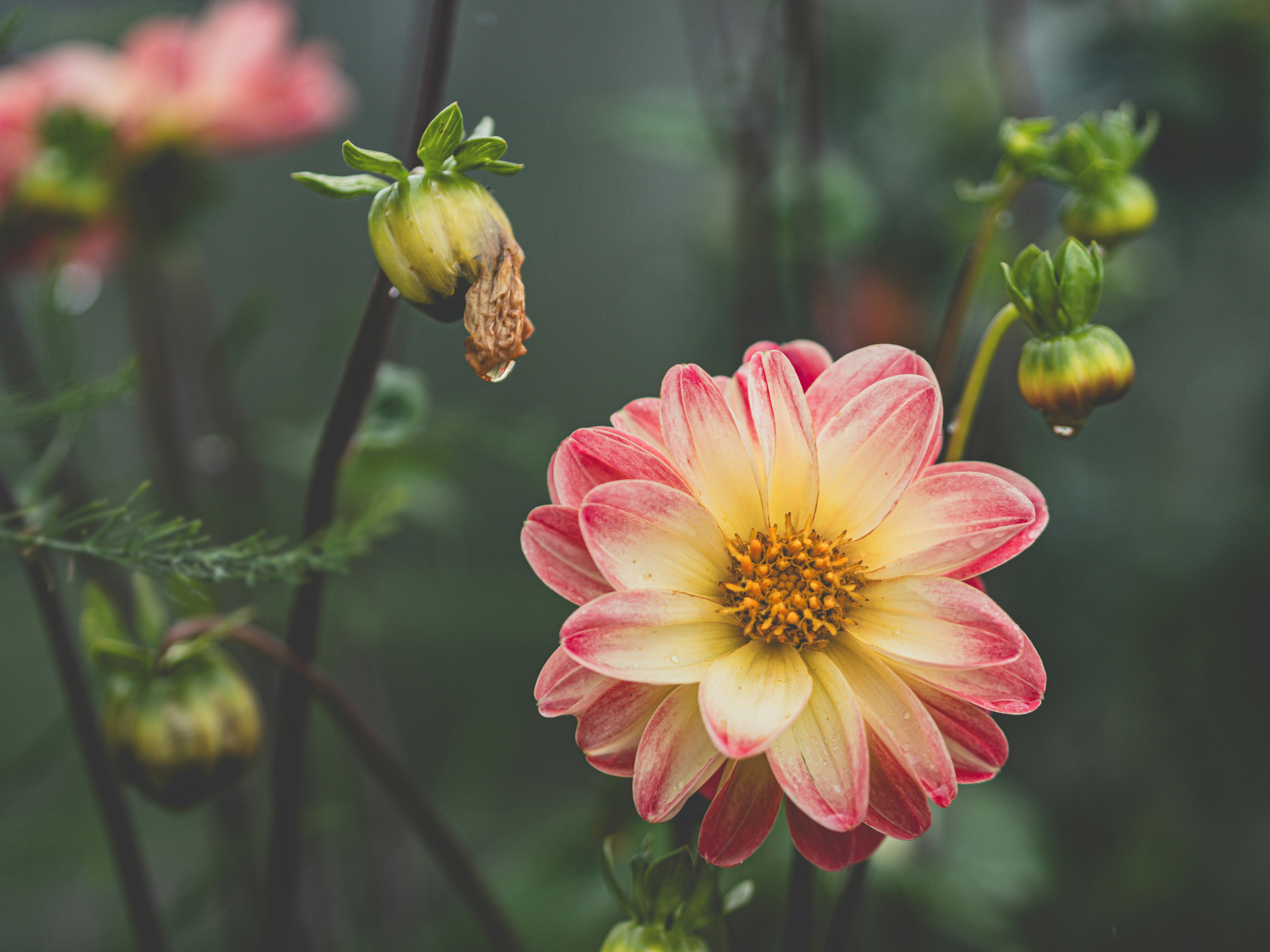 Photo by ganboldboldbaatar