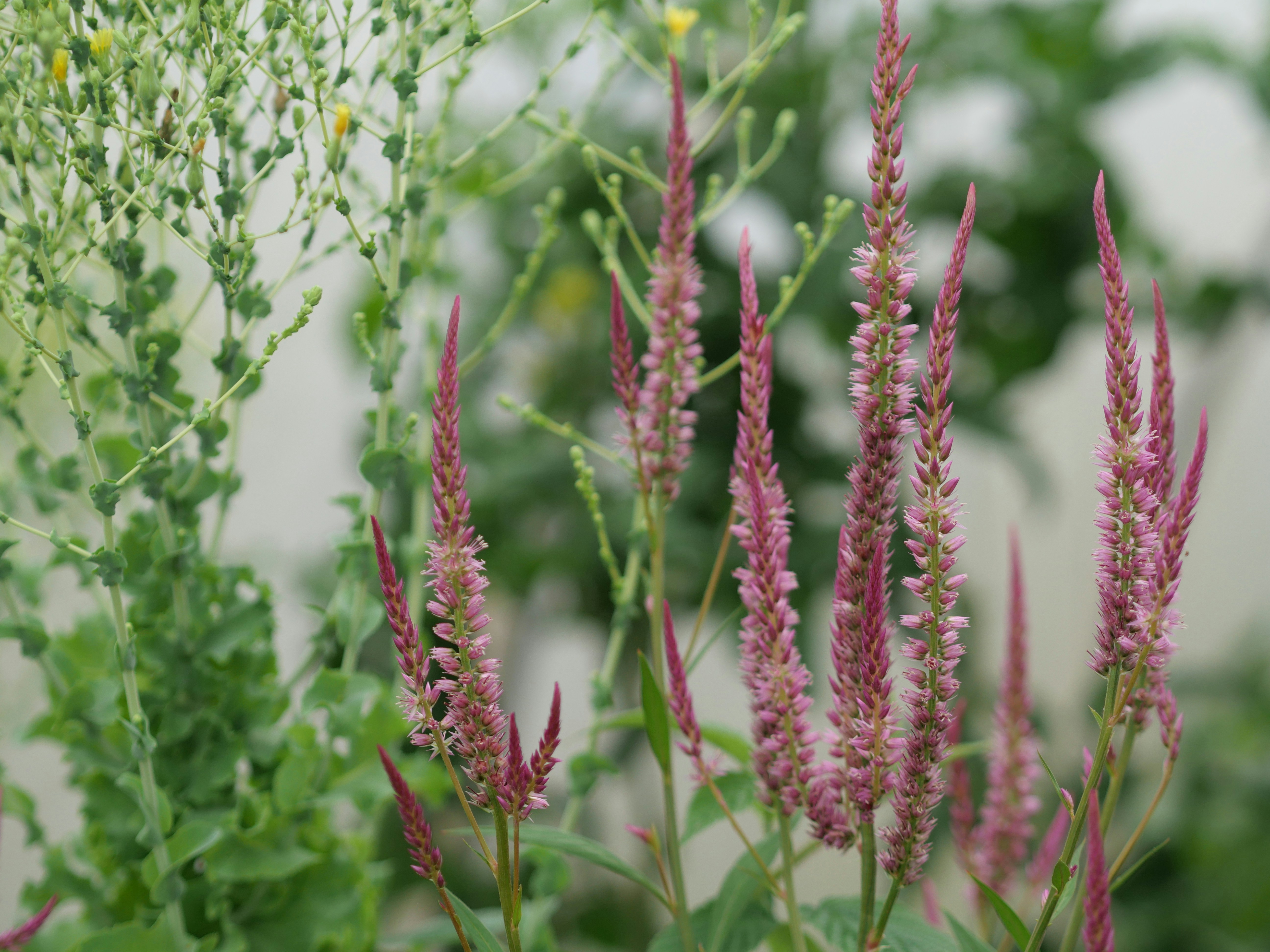 Photo by ganboldboldbaatar