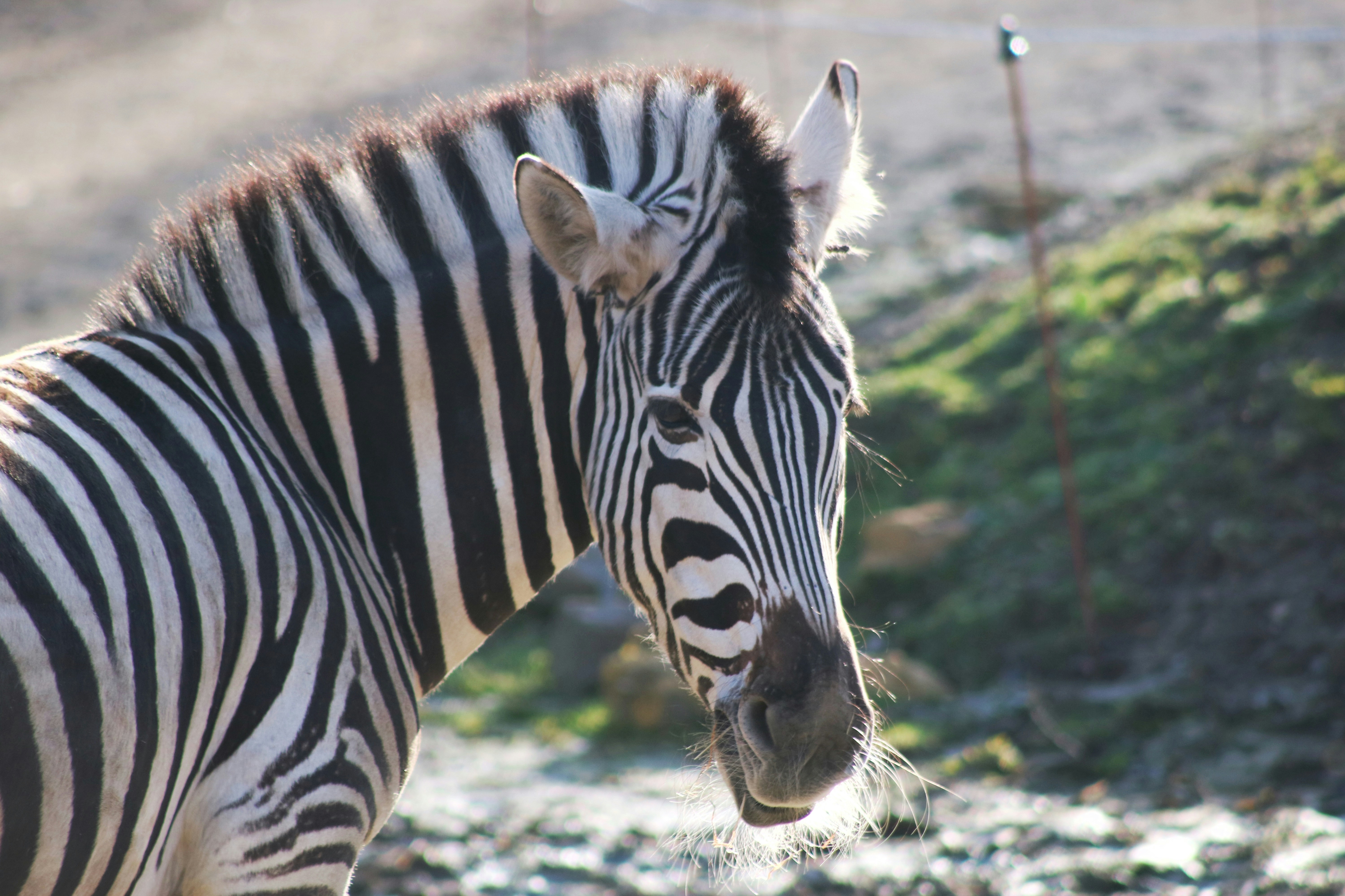 Photo by hannahruthemeyer