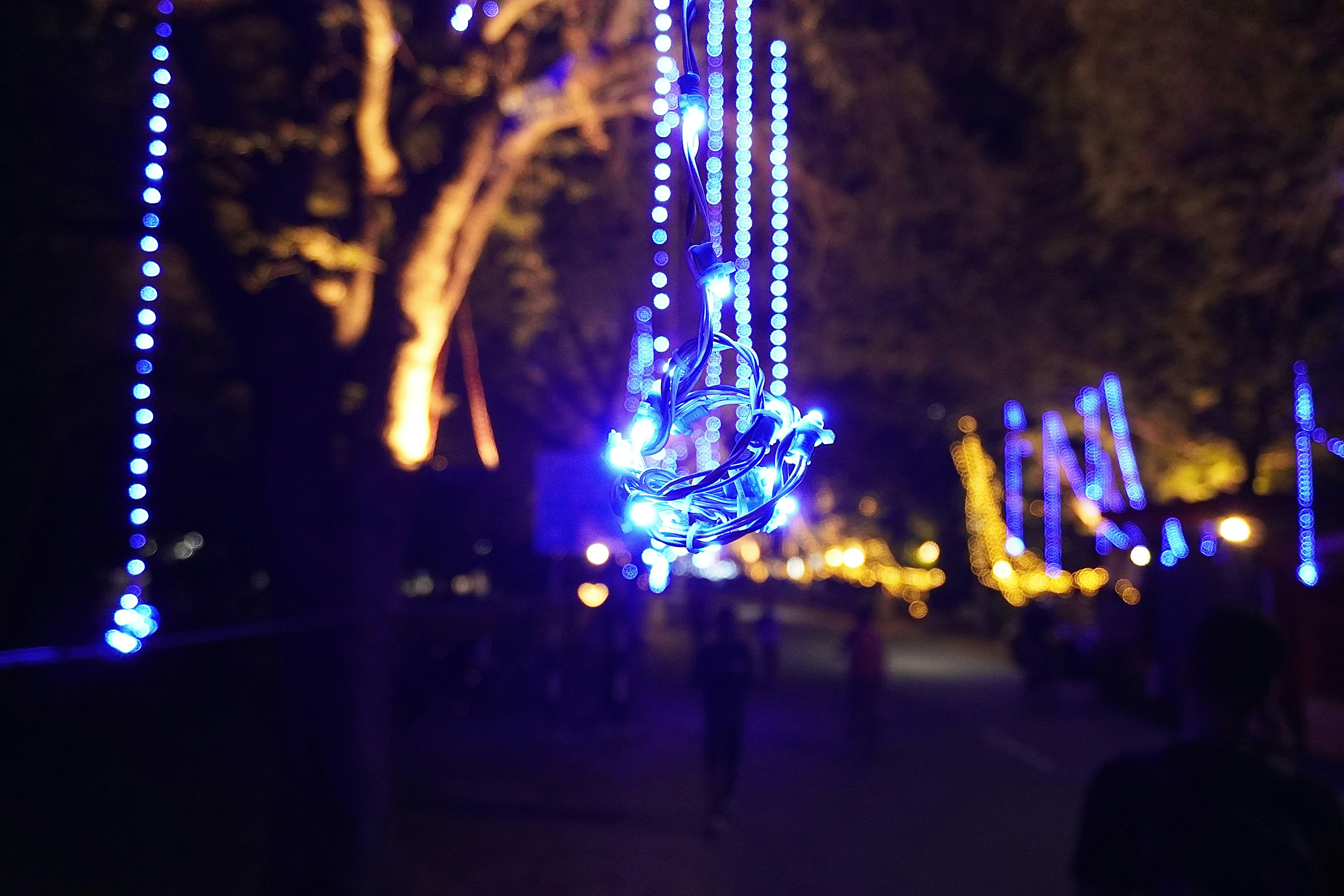 Photo by nikhil_sachan