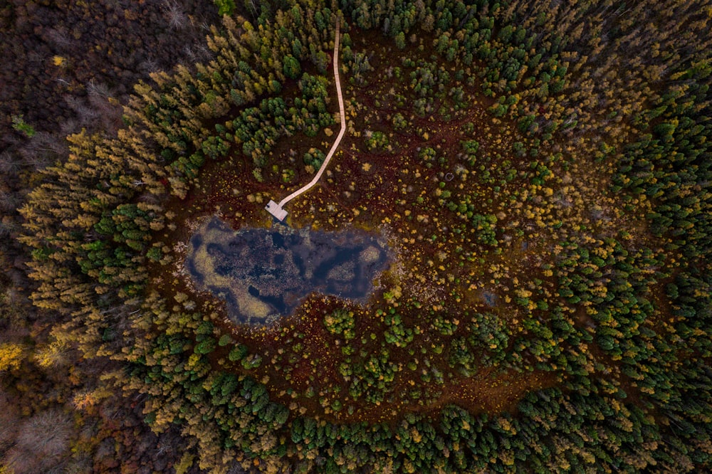 a bird's eye view of a tree covered area