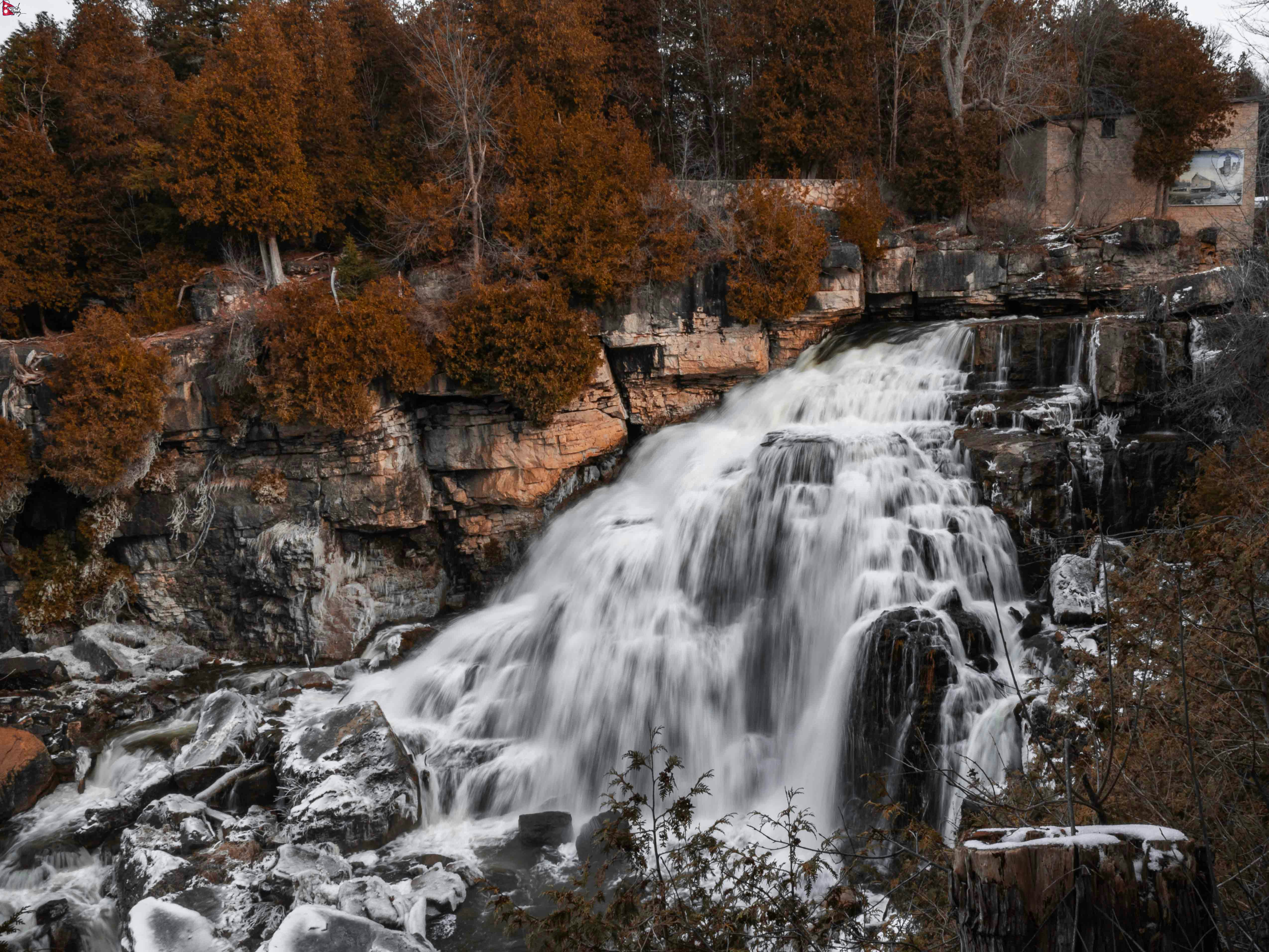 a waterfall in the middle of a forest