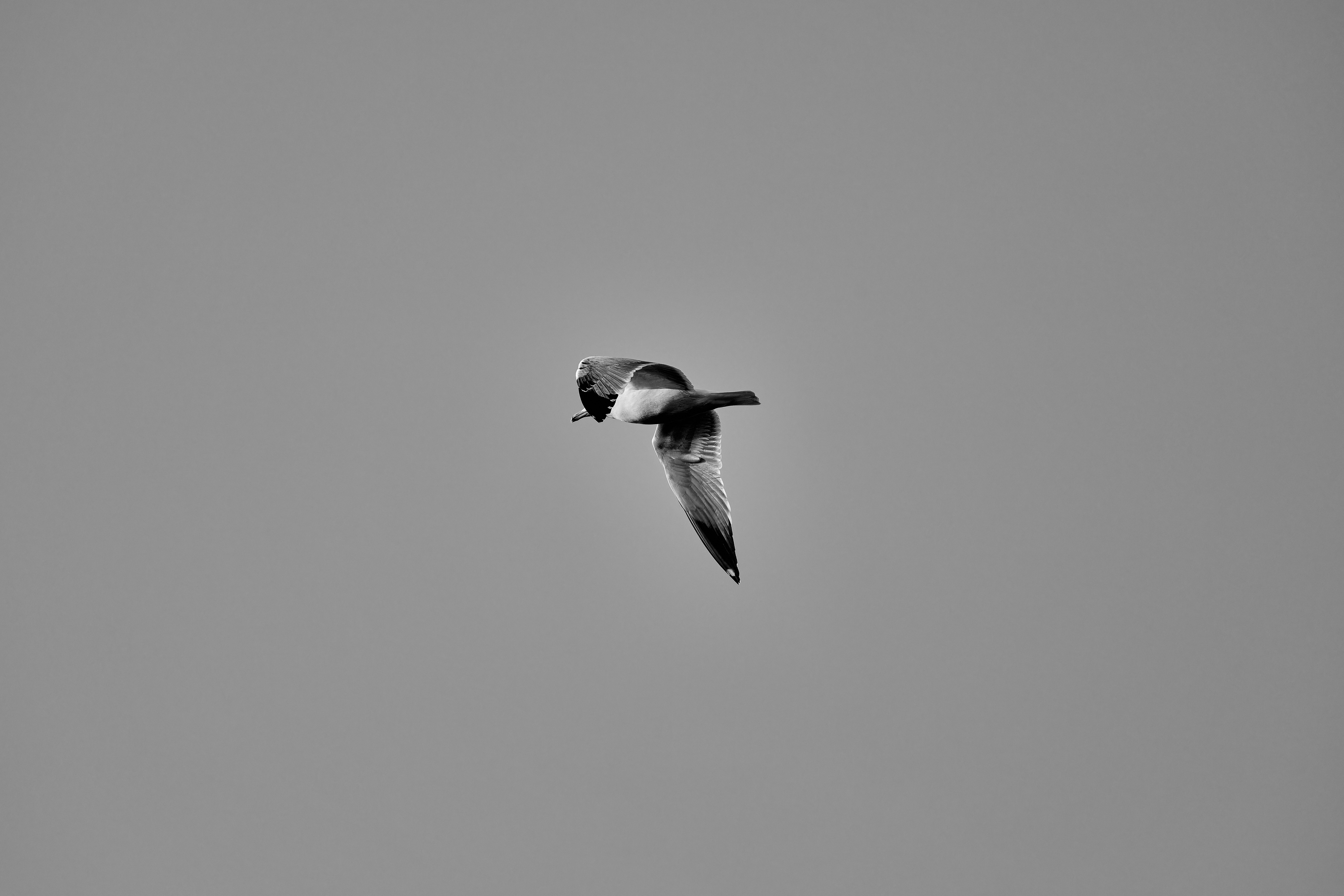 Photo by stefanschwinghammer