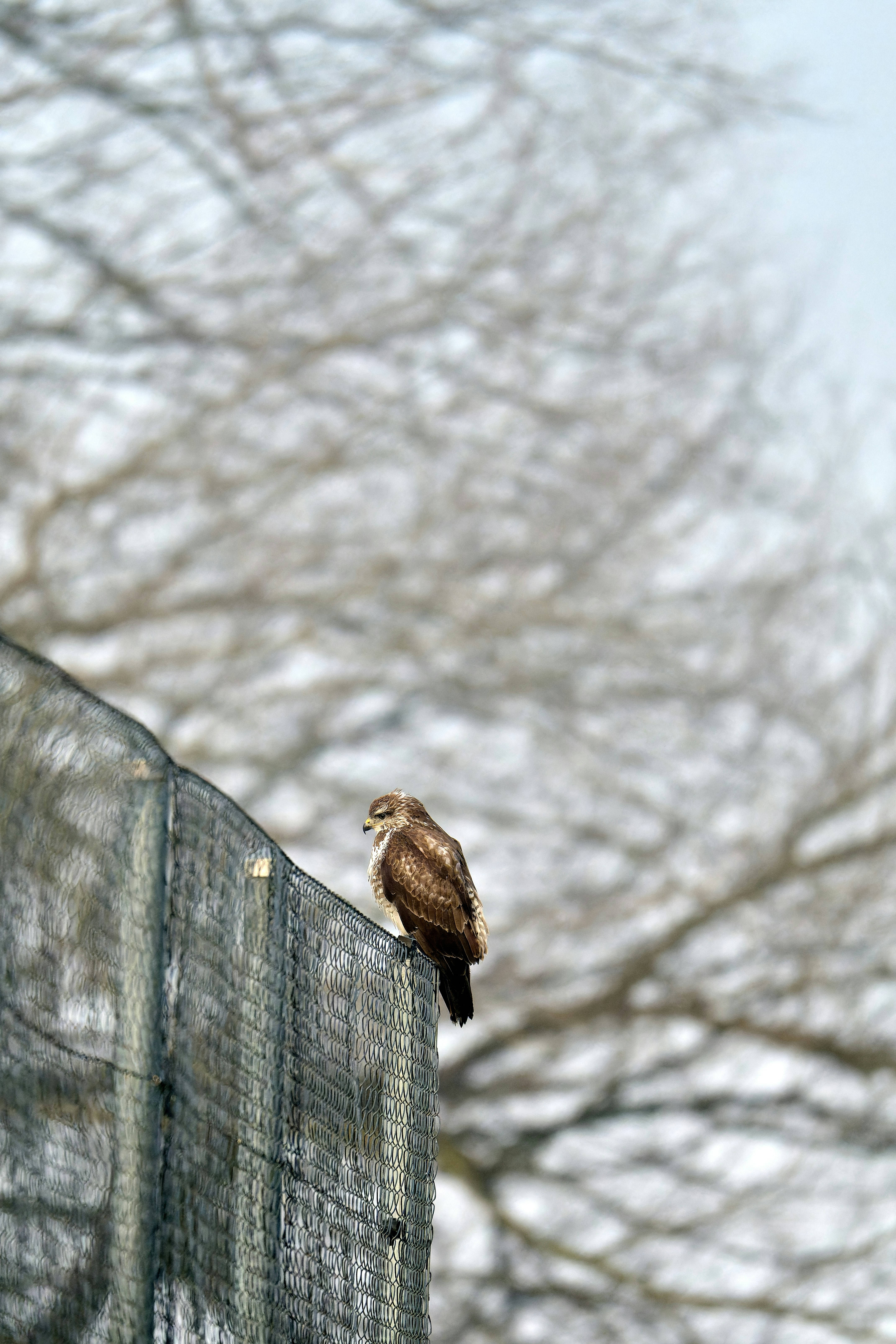 Photo by stefanschwinghammer