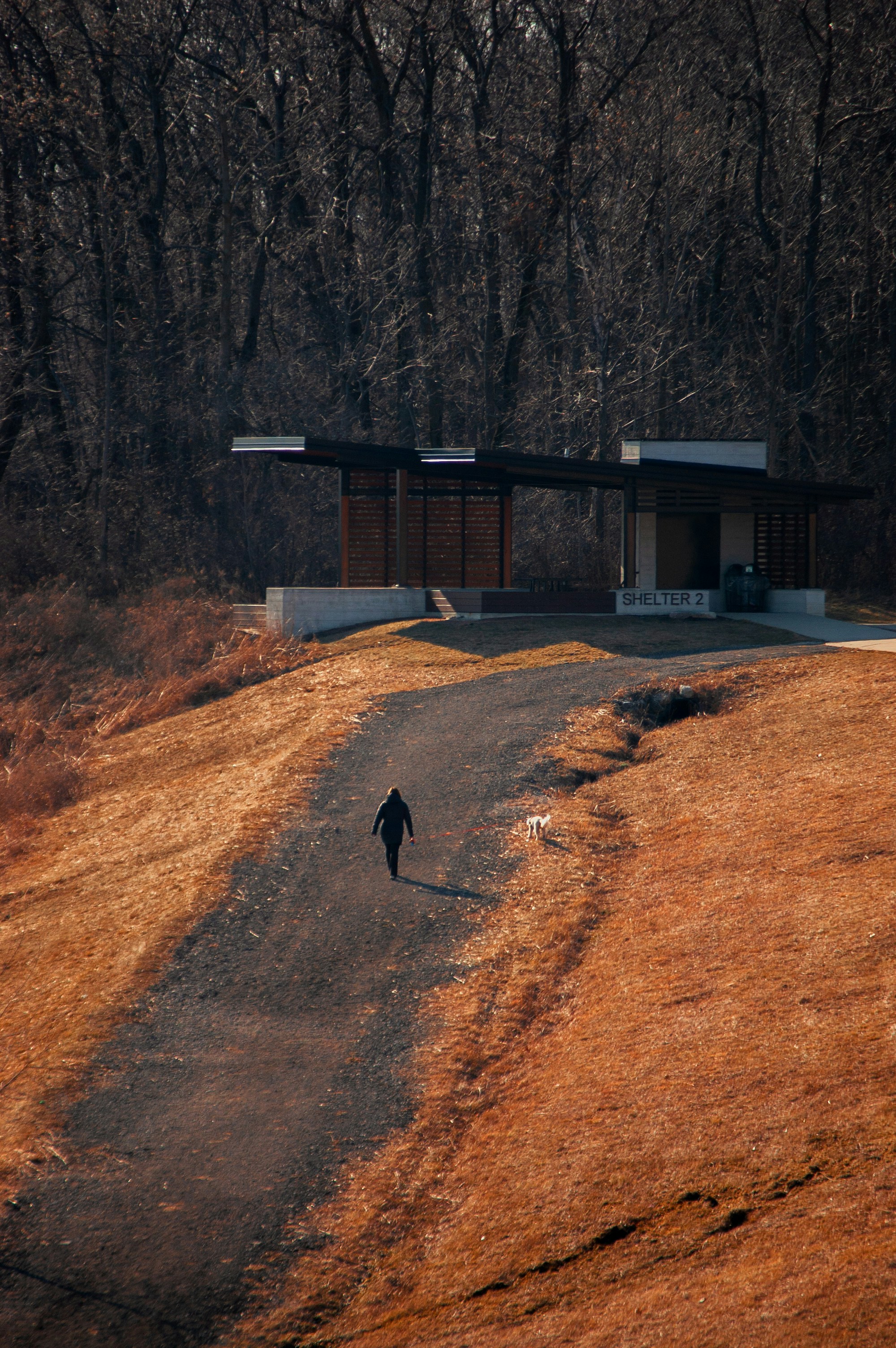 a person walking a dog down a dirt road