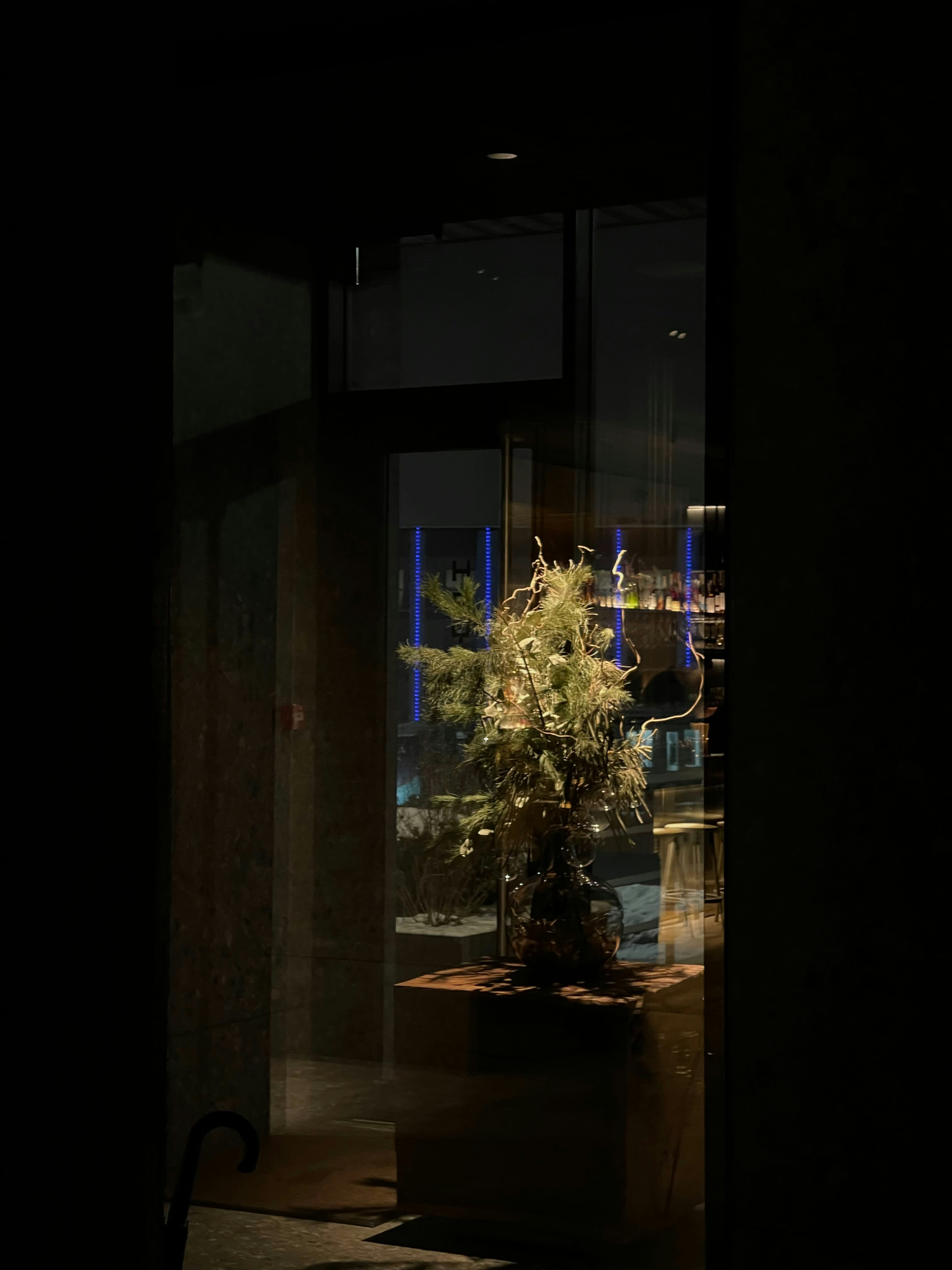 Photo by zakharchenko