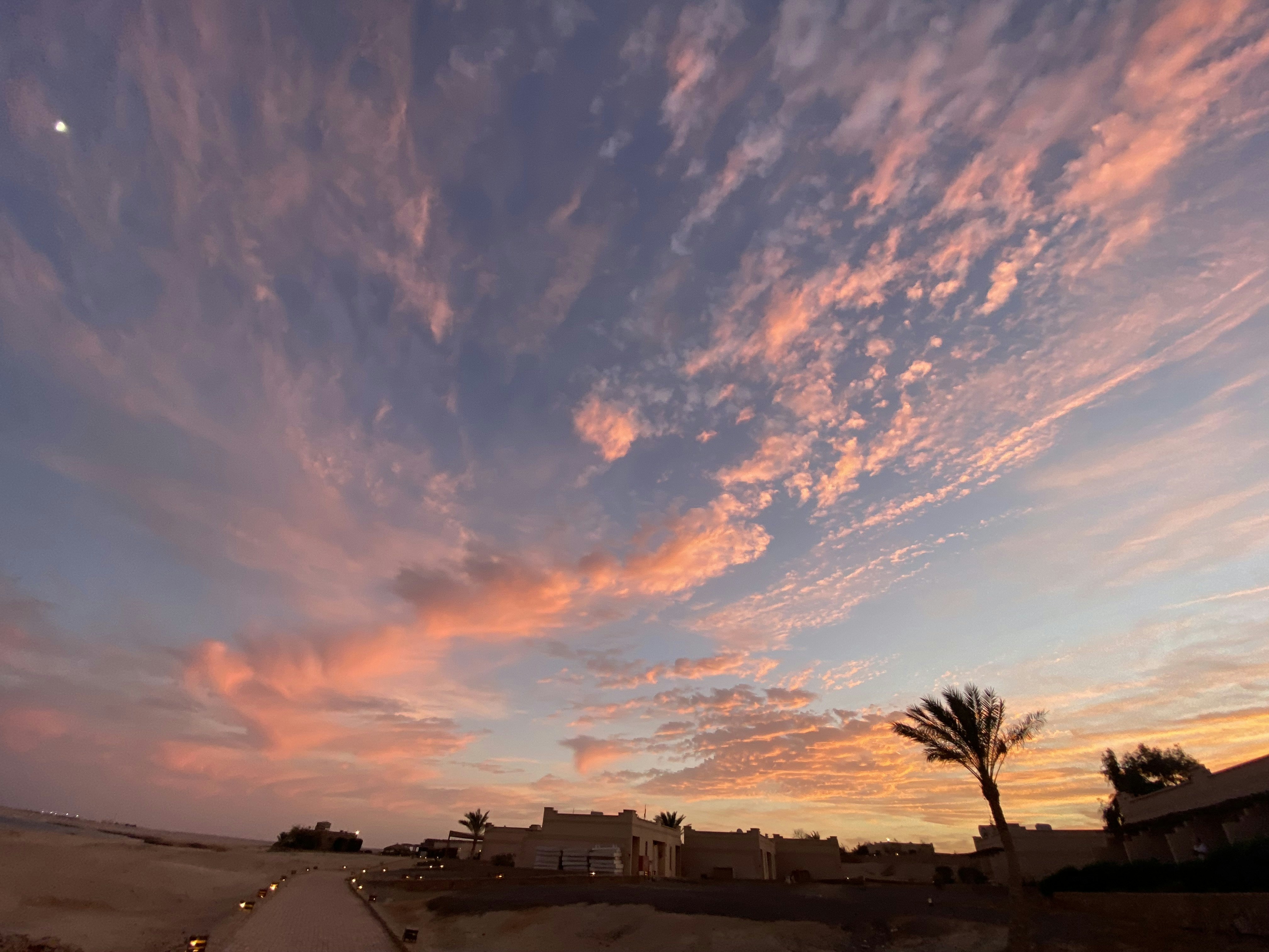 Photo by gabriels501