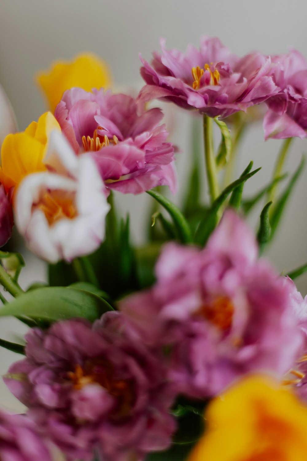 a bunch of flowers that are in a vase