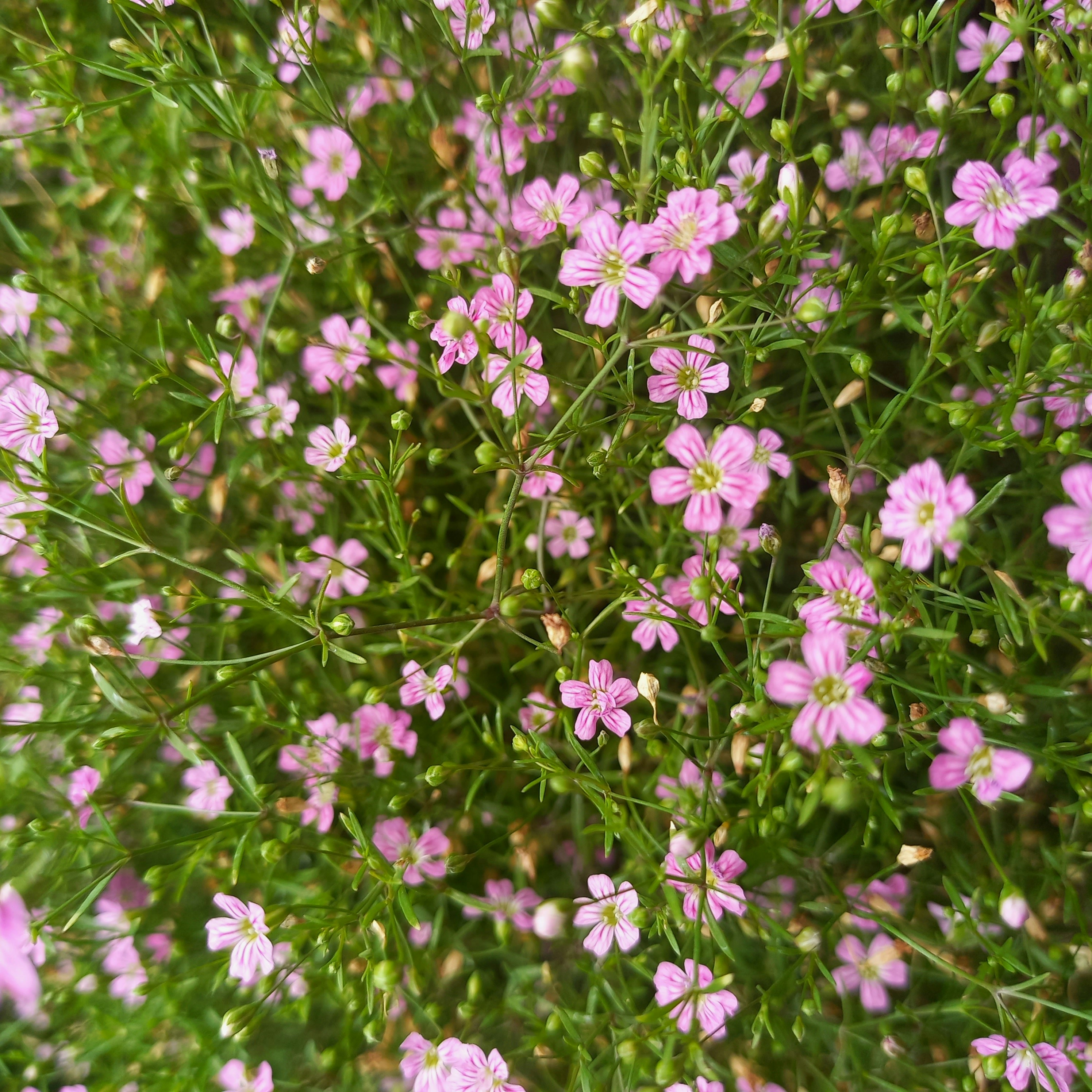 Windhoek – Transportation & Getting Around