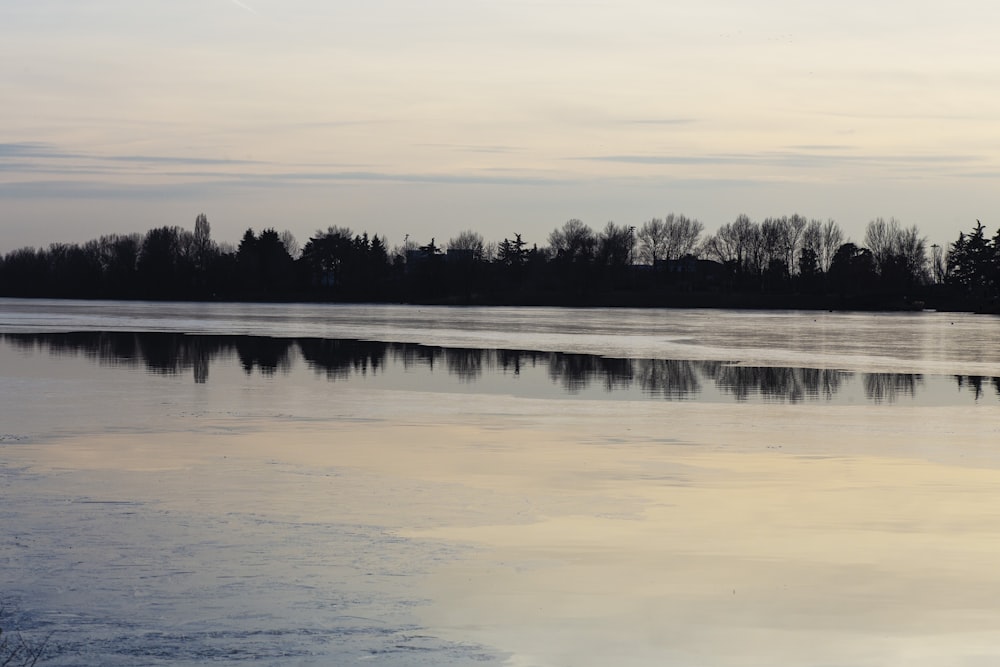 a body of water with trees in the background