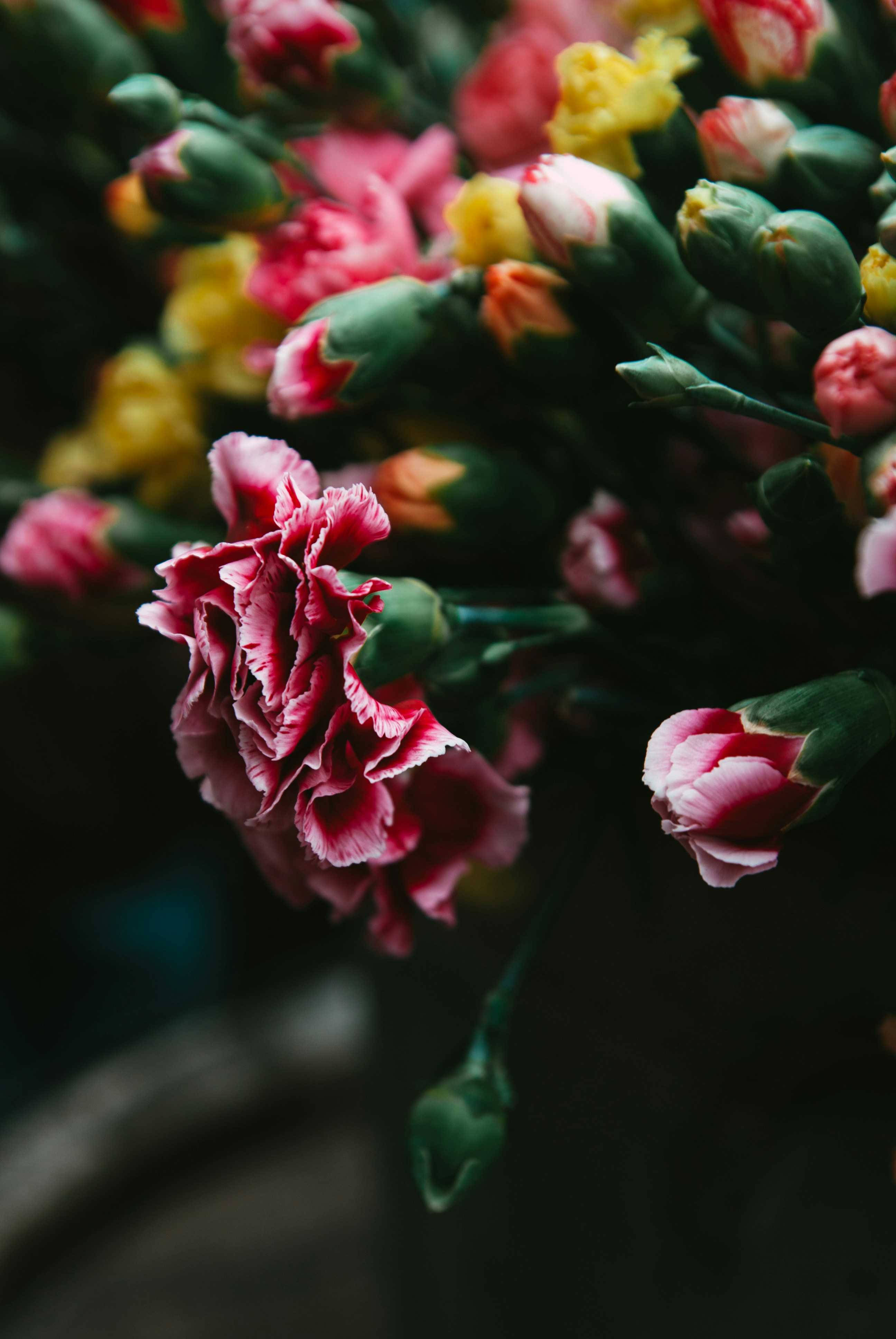 Photo by moonmoons_days