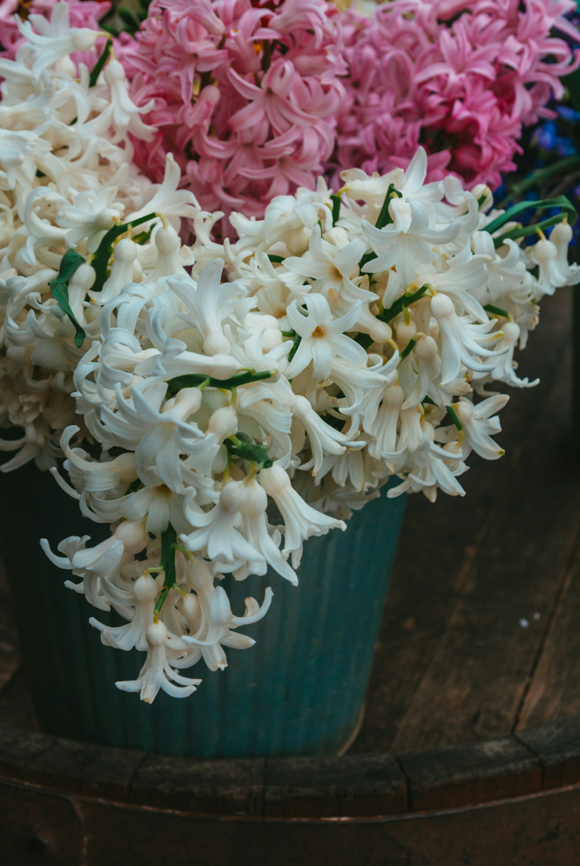 Photo by moonmoons_days