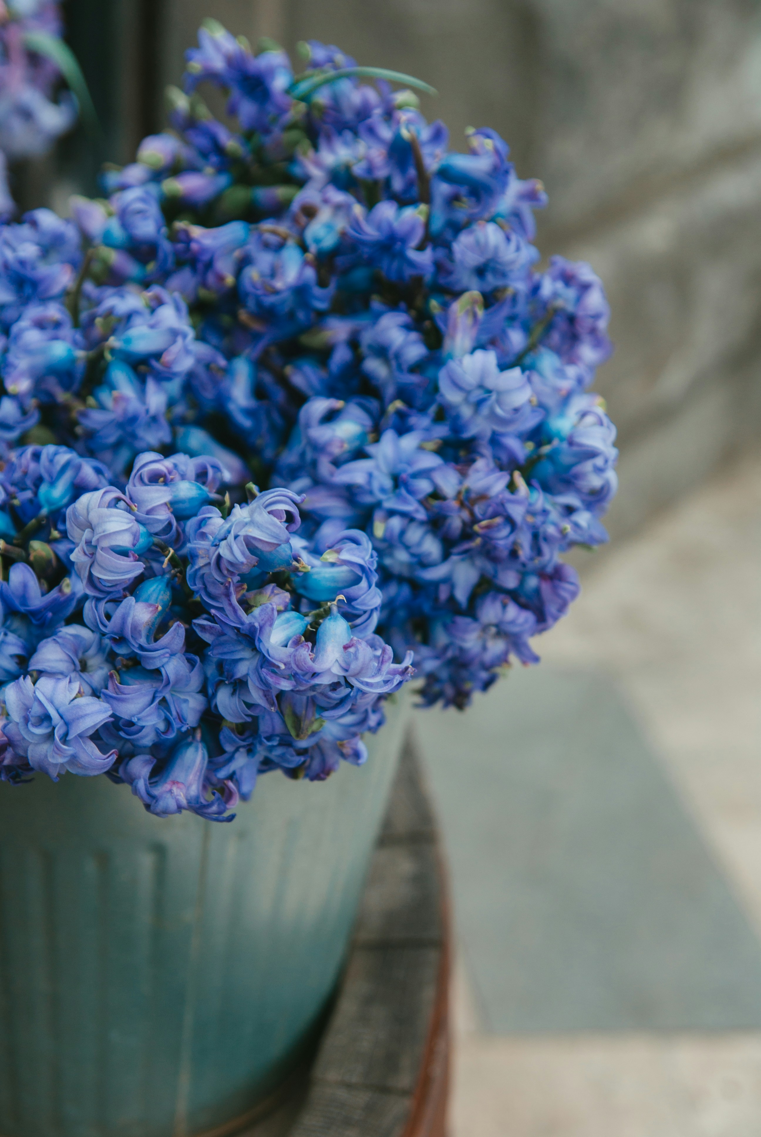 Photo by moonmoons_days