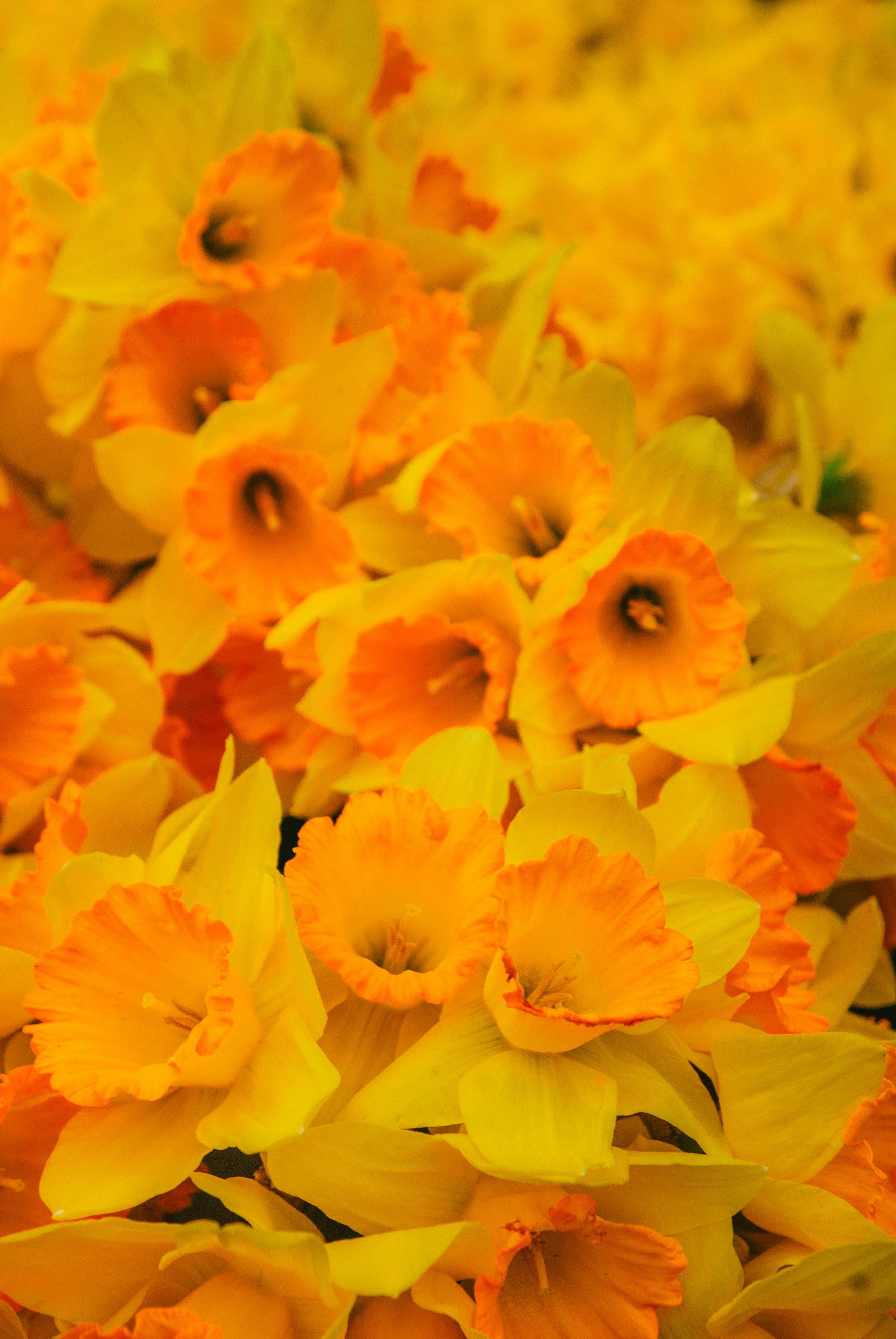 Photo by moonmoons_days