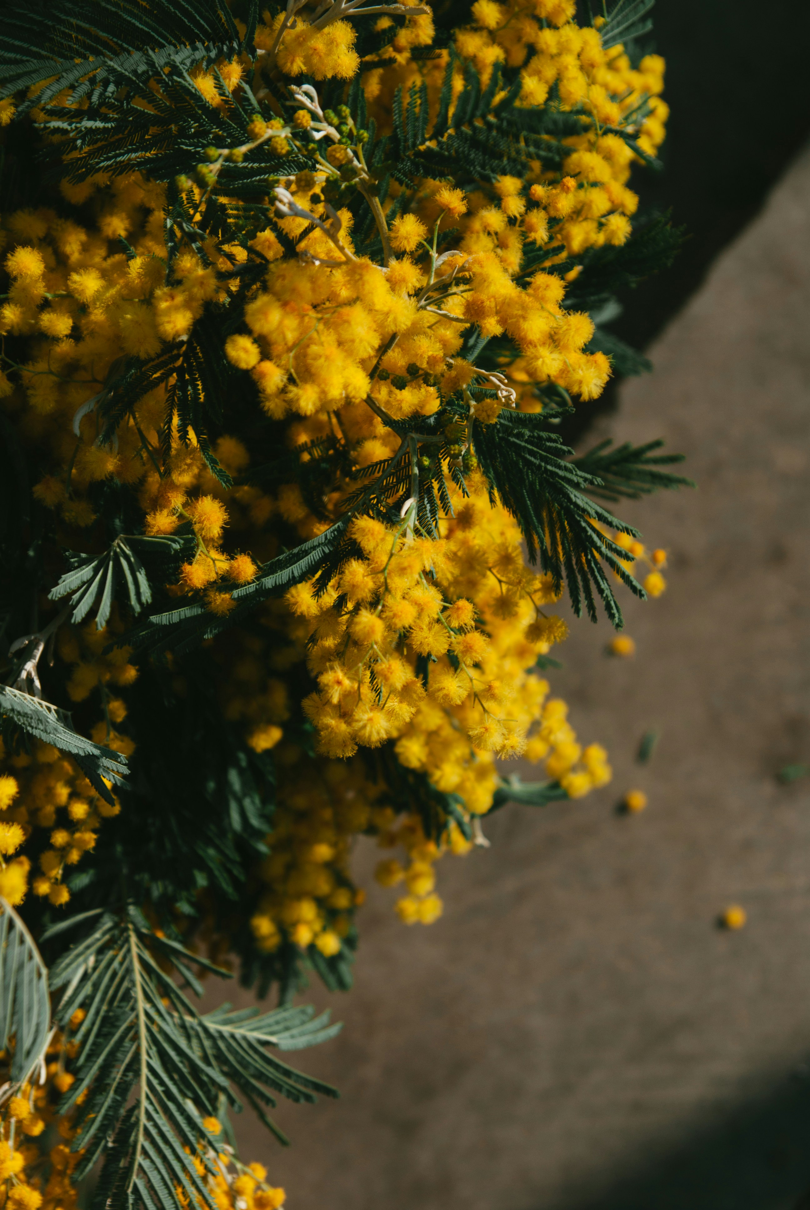 Photo by moonmoons_days