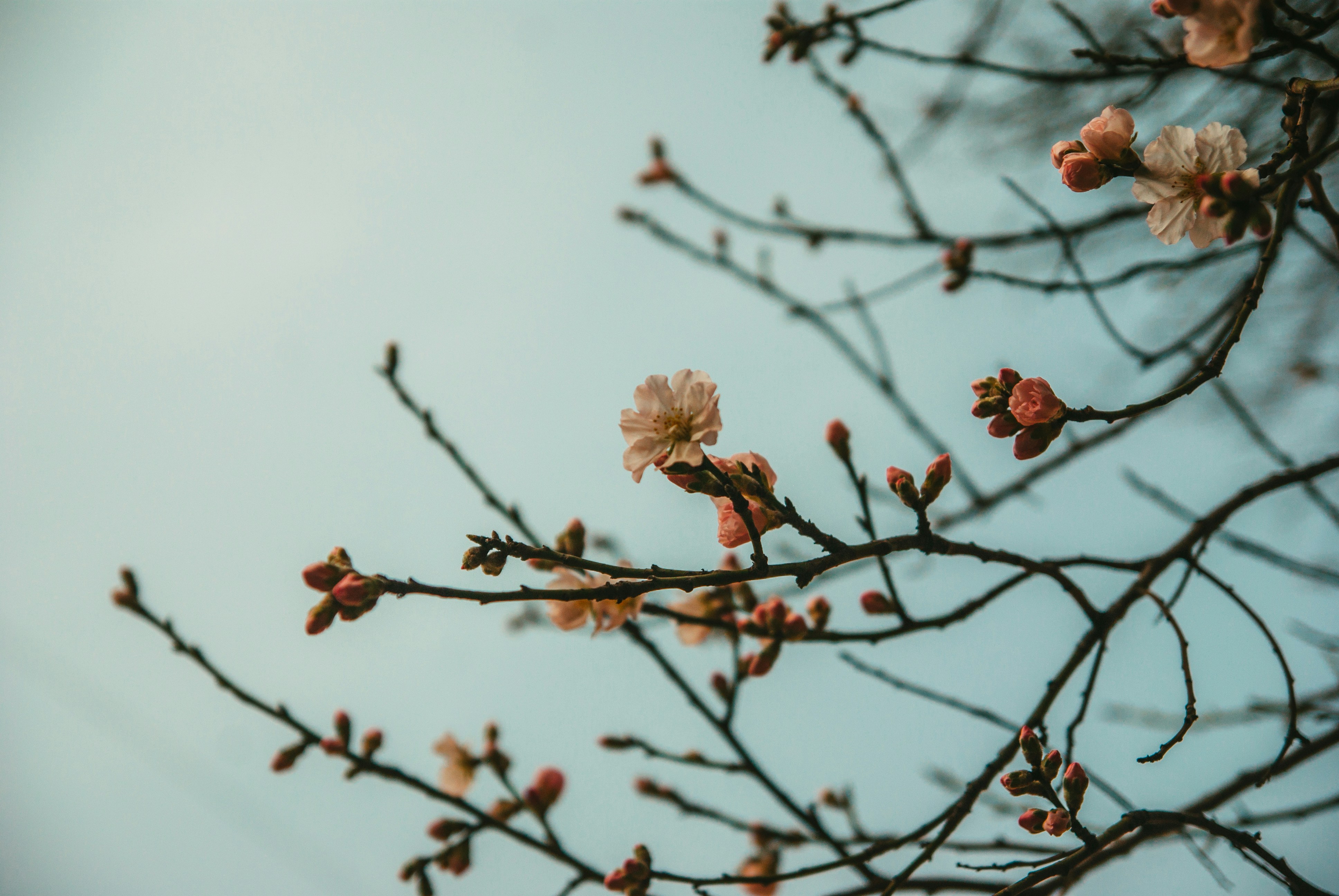 Photo by moonmoons_days