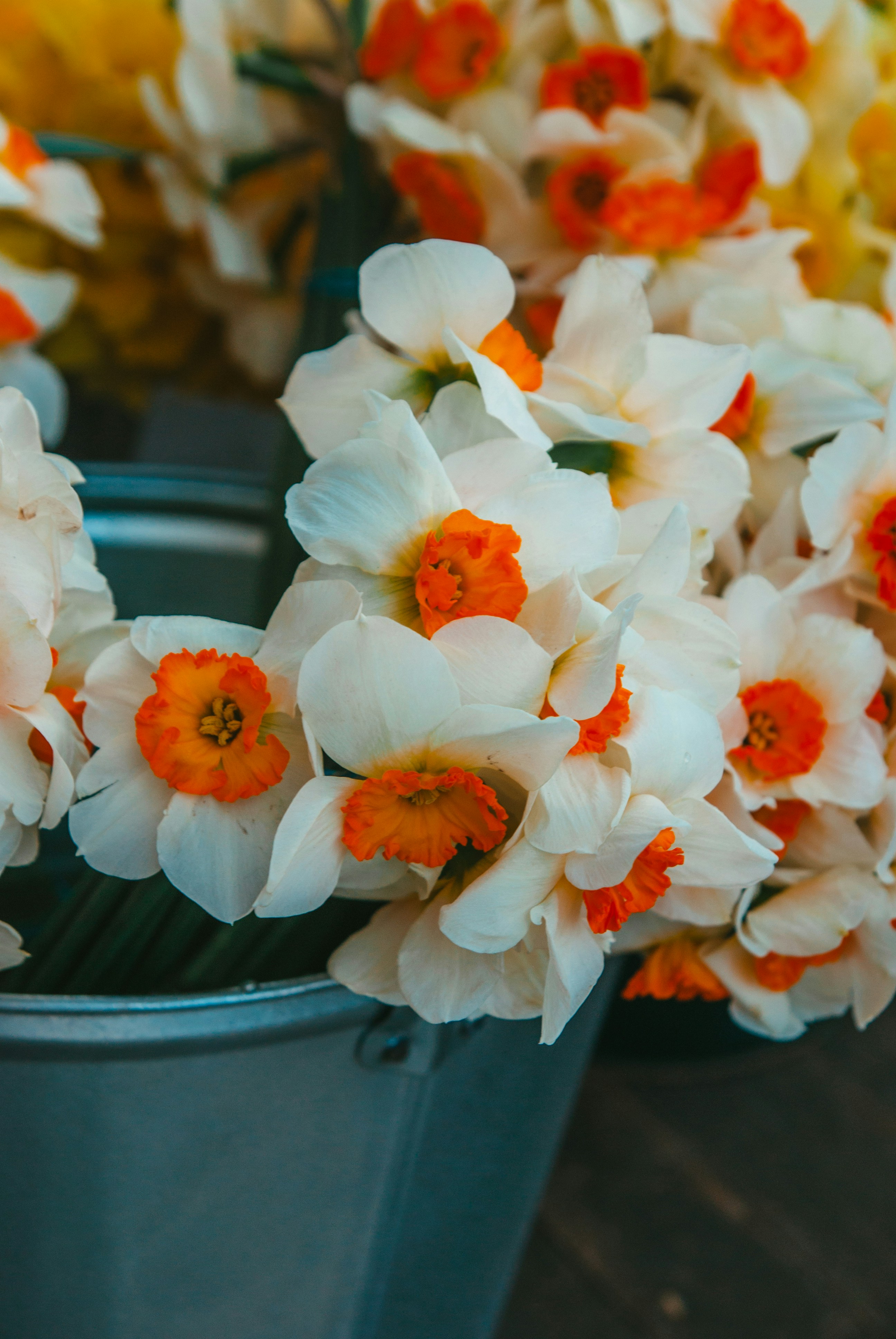 Photo by moonmoons_days