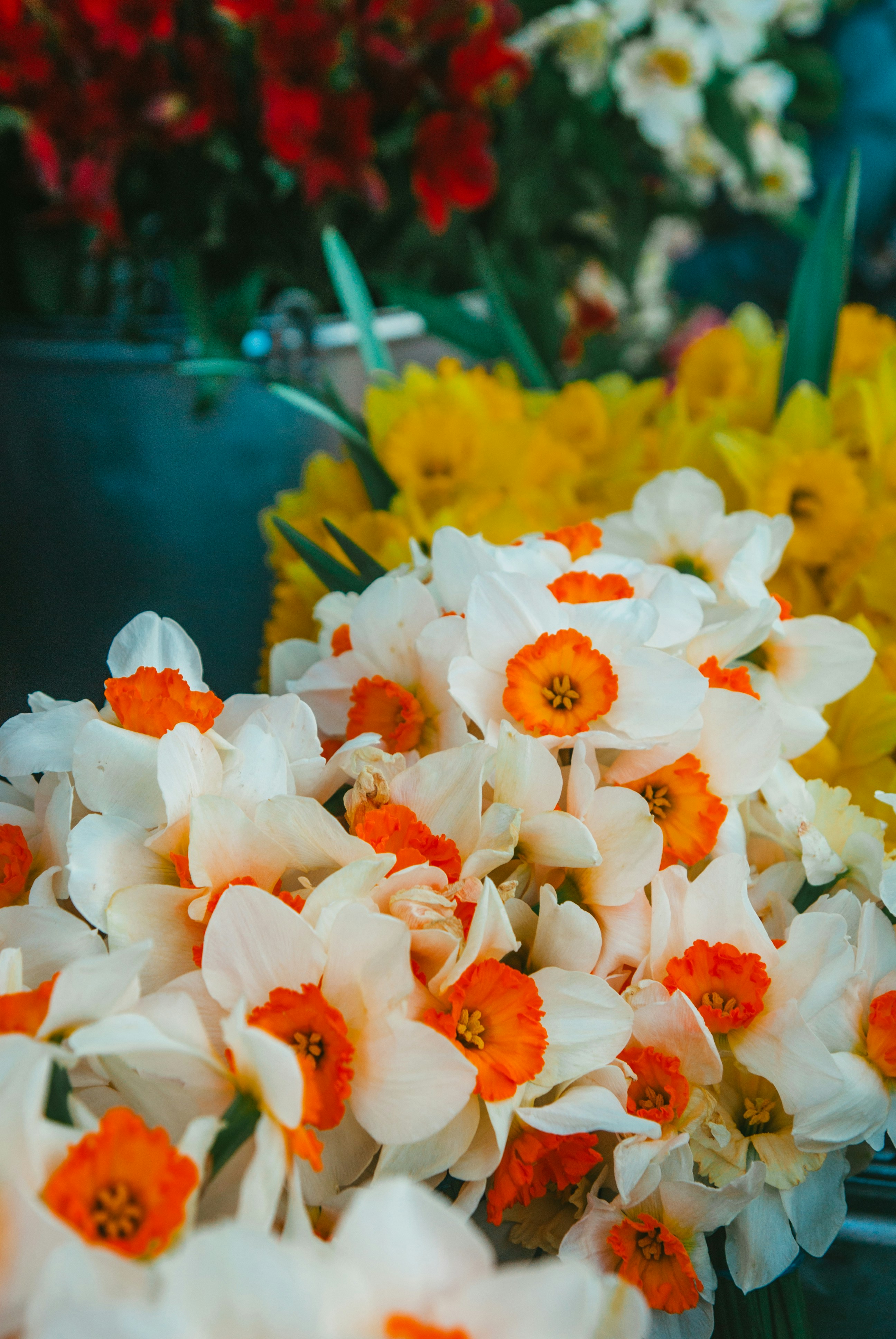 Photo by moonmoons_days