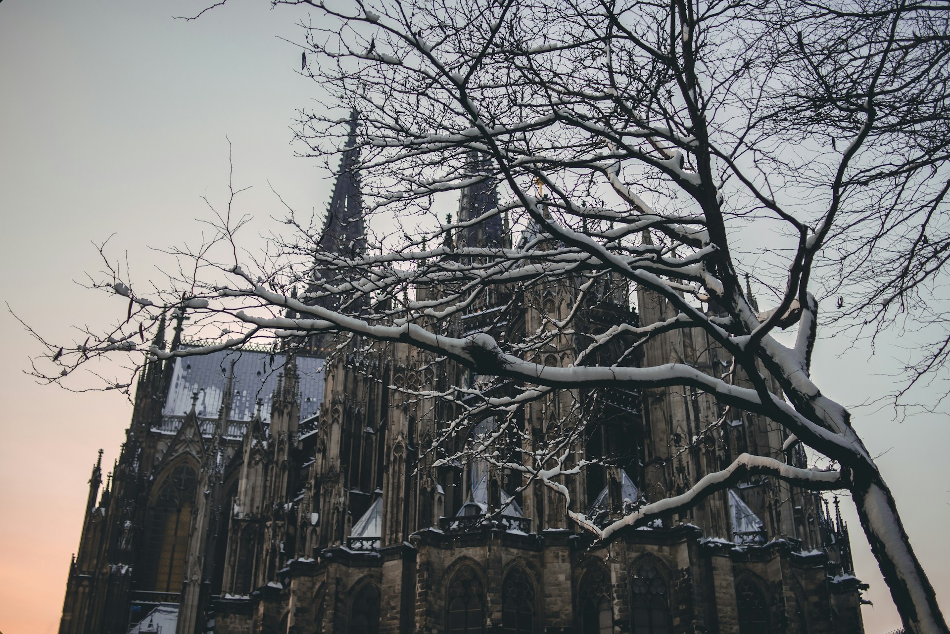 a large cathedral with a tree in front of it