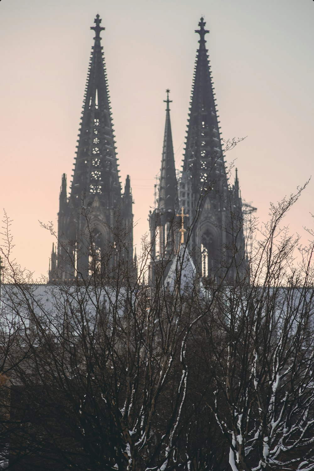 a view of a cathedral from across the street