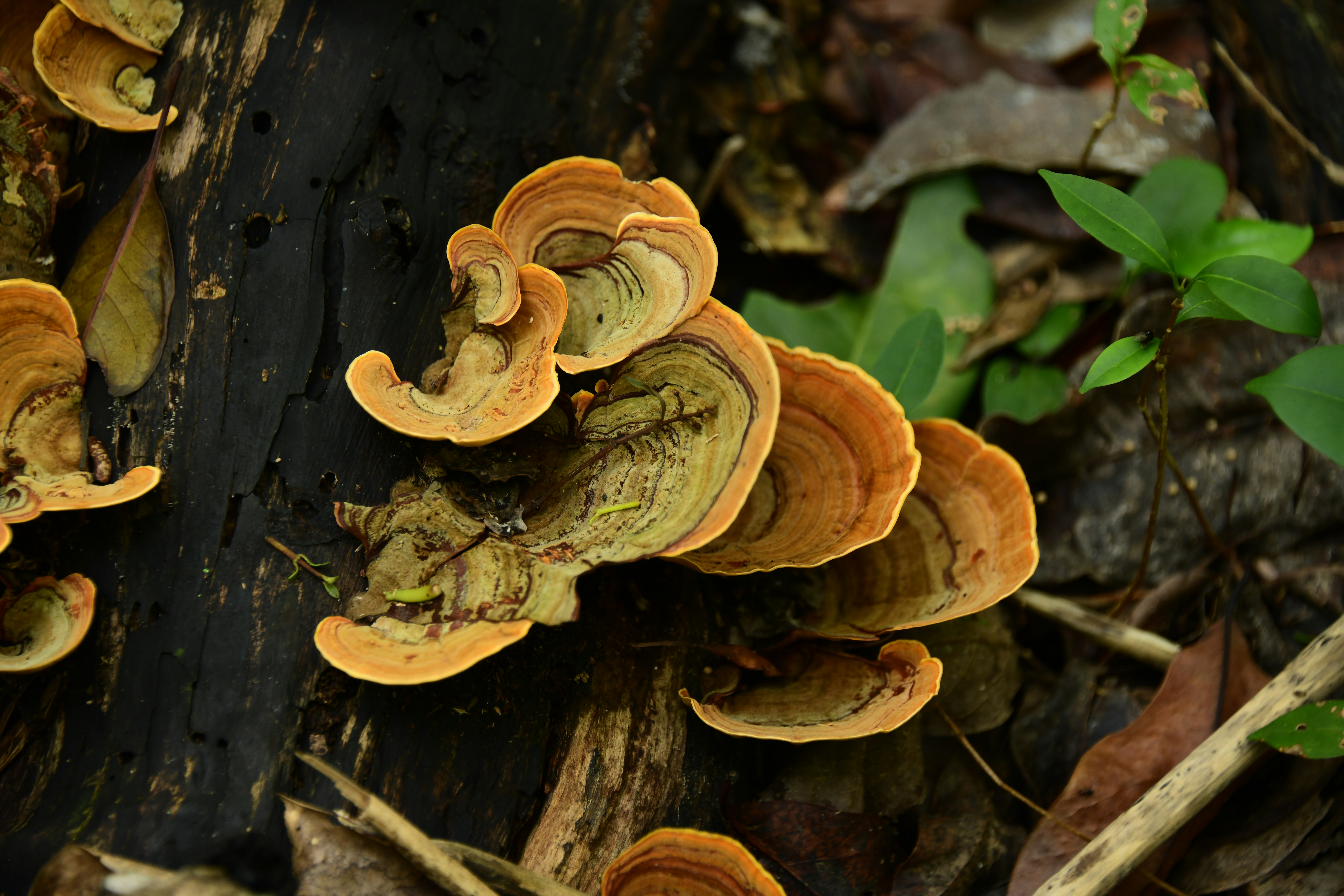 Photo by richard7seals