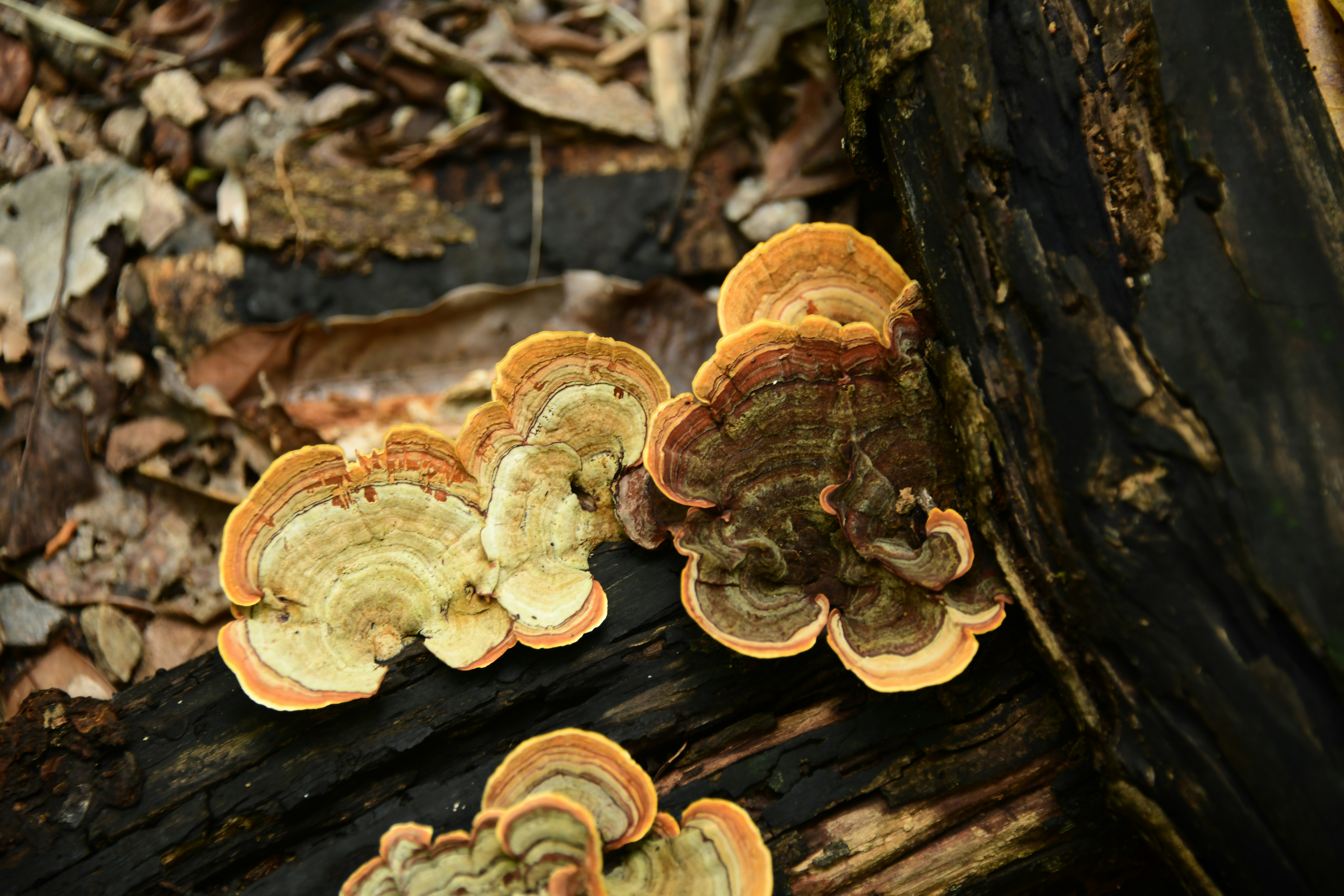 Photo by richard7seals