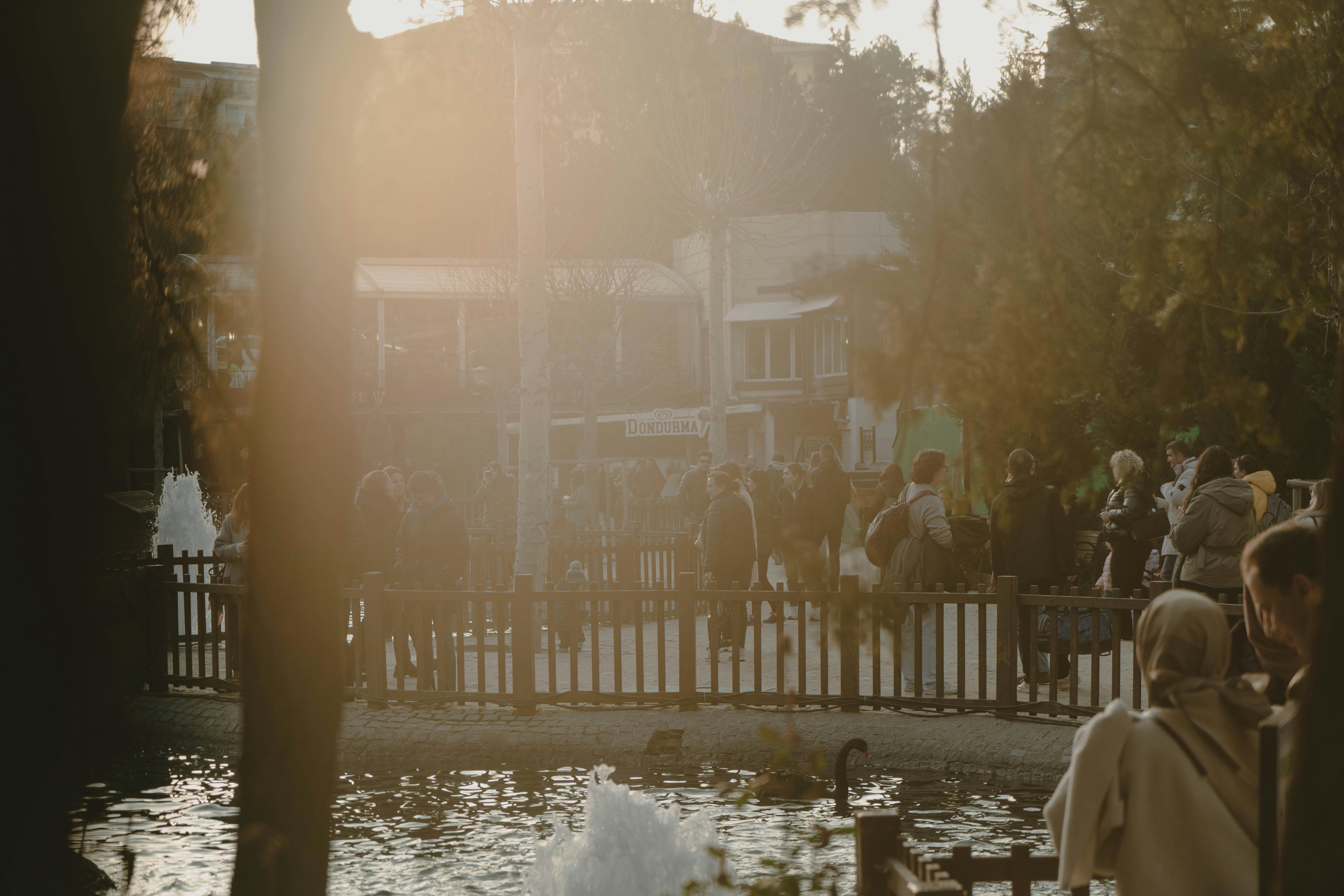 a group of people standing around a pond