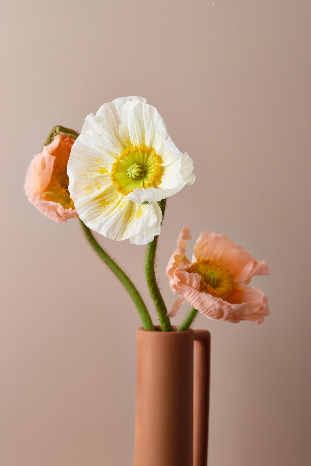 Tres flores en un jarrón sobre una mesa